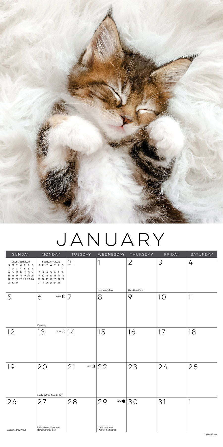 2025 Naptime: A Cat's Favorite Pastime - Square Wall Calendar (US Only)