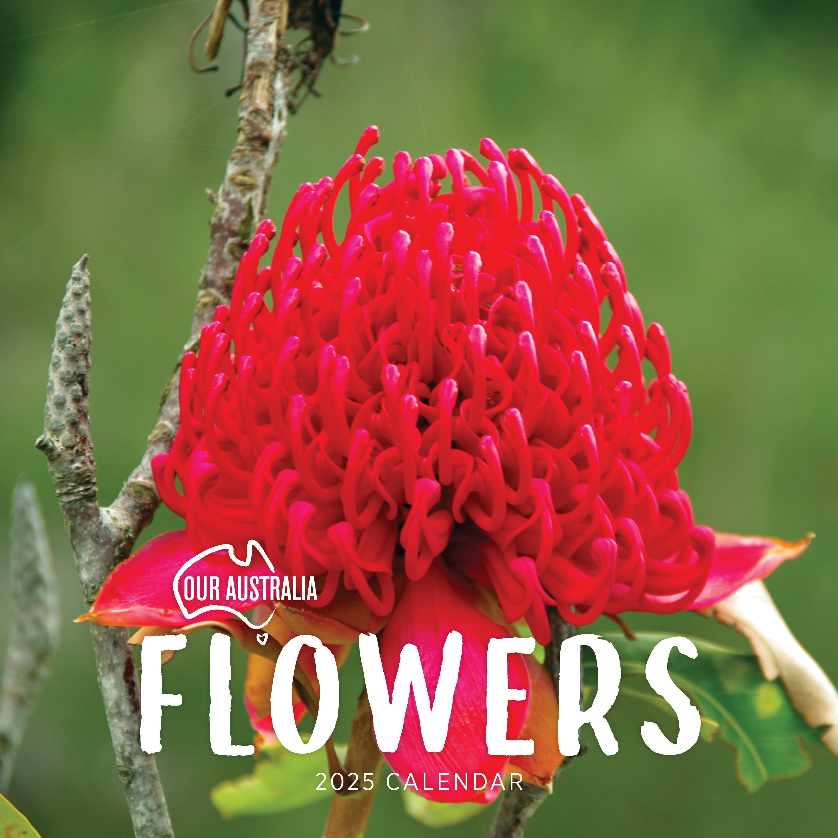 2025 Our Australia Flowers - Square Wall Calendar