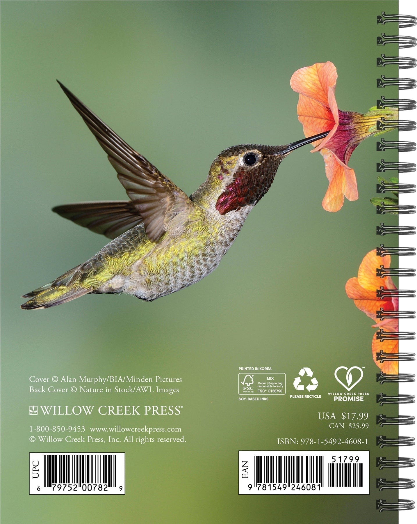 2025 Backyard Birds - Weekly Diary/Planner (US Only)