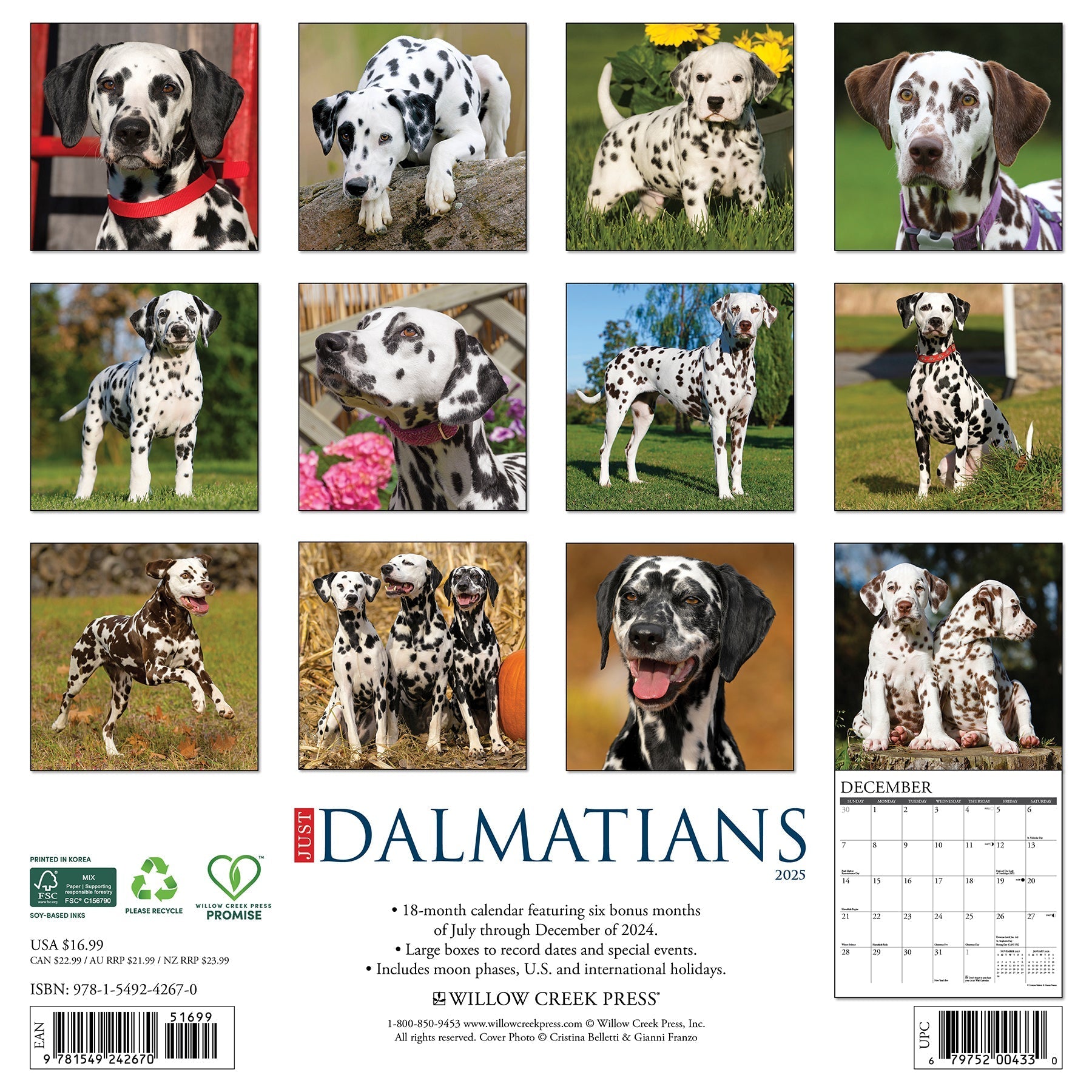 2025 Dalmatians - Square Wall Calendar (US Only)