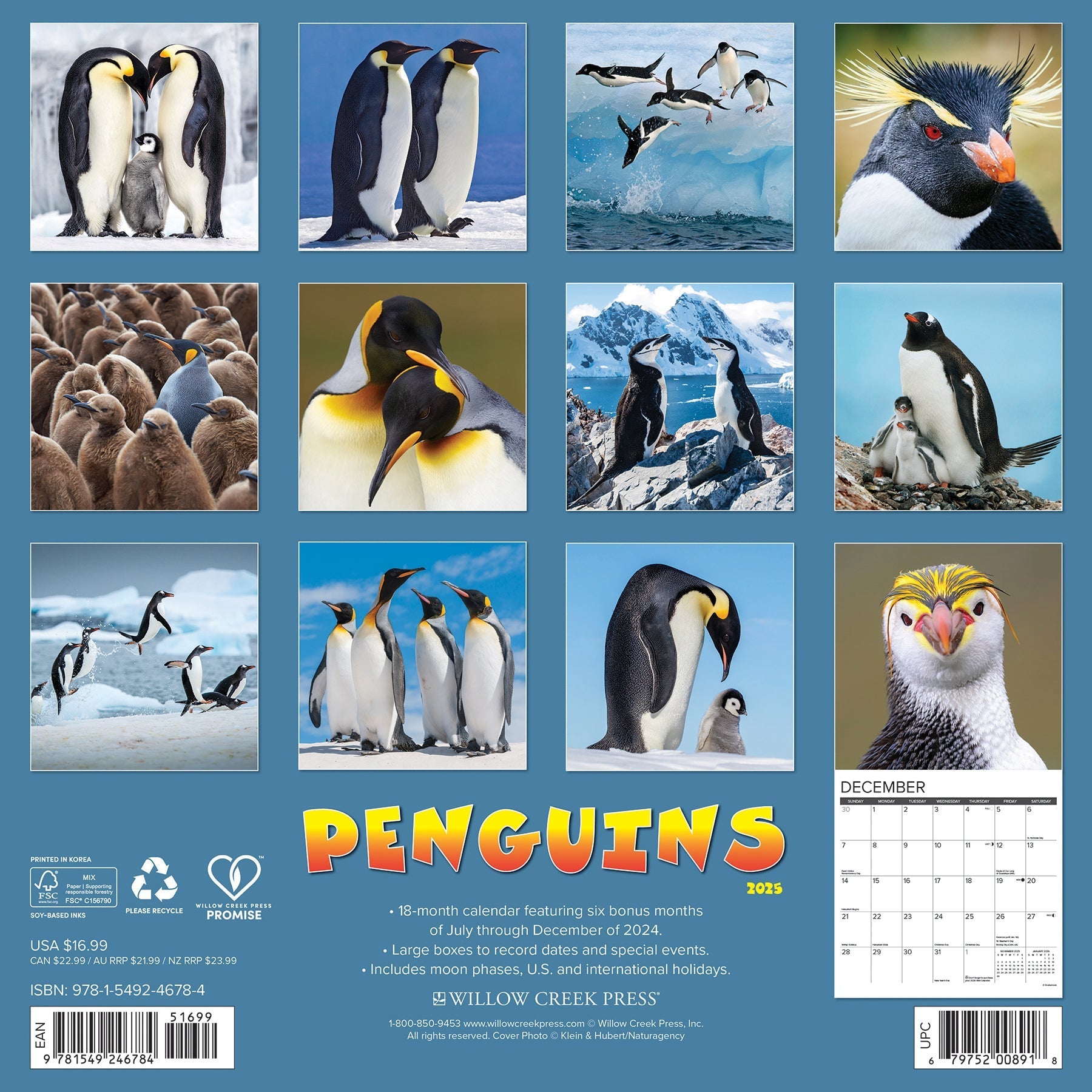 2025 Penguins - Square Wall Calendar (US Only)