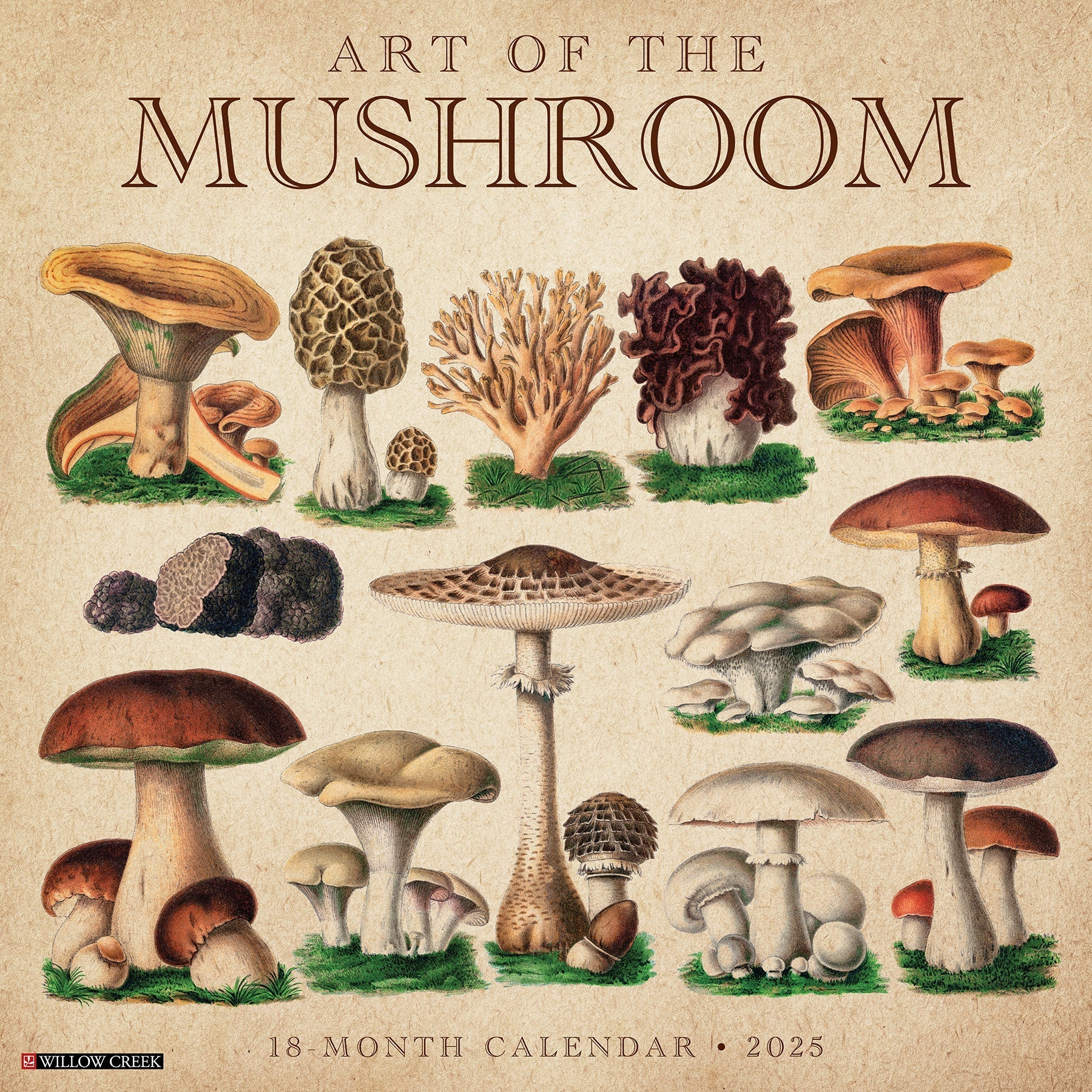 2025 Art of the Mushroom - Square Wall Calendar (US Only)