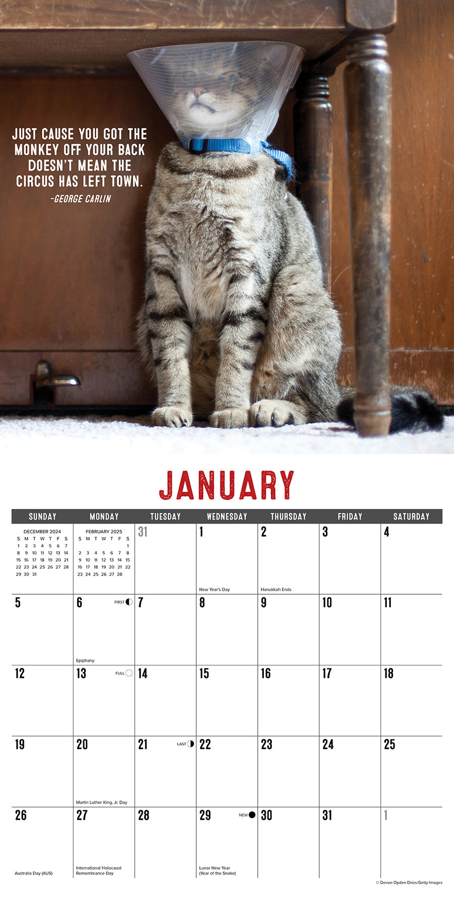 2025 Bad Kitties - Square Wall Calendar (US Only)