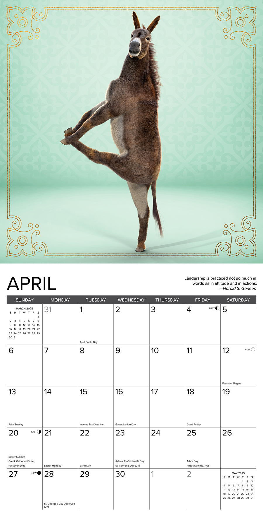 2025 Jackass Yoga - Square Wall Calendar (US Only)