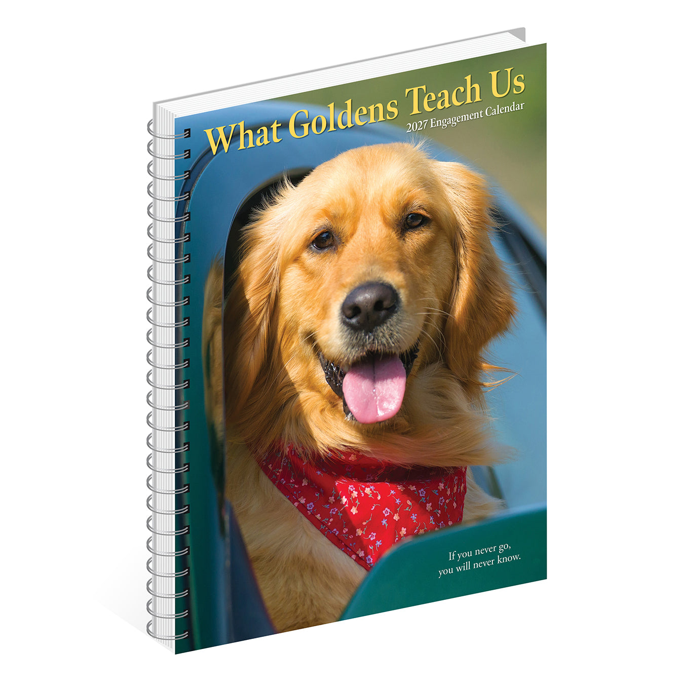 64467_3.jpg