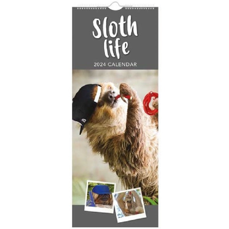 2024 Sloth Life Super - Slim Wall Calendar