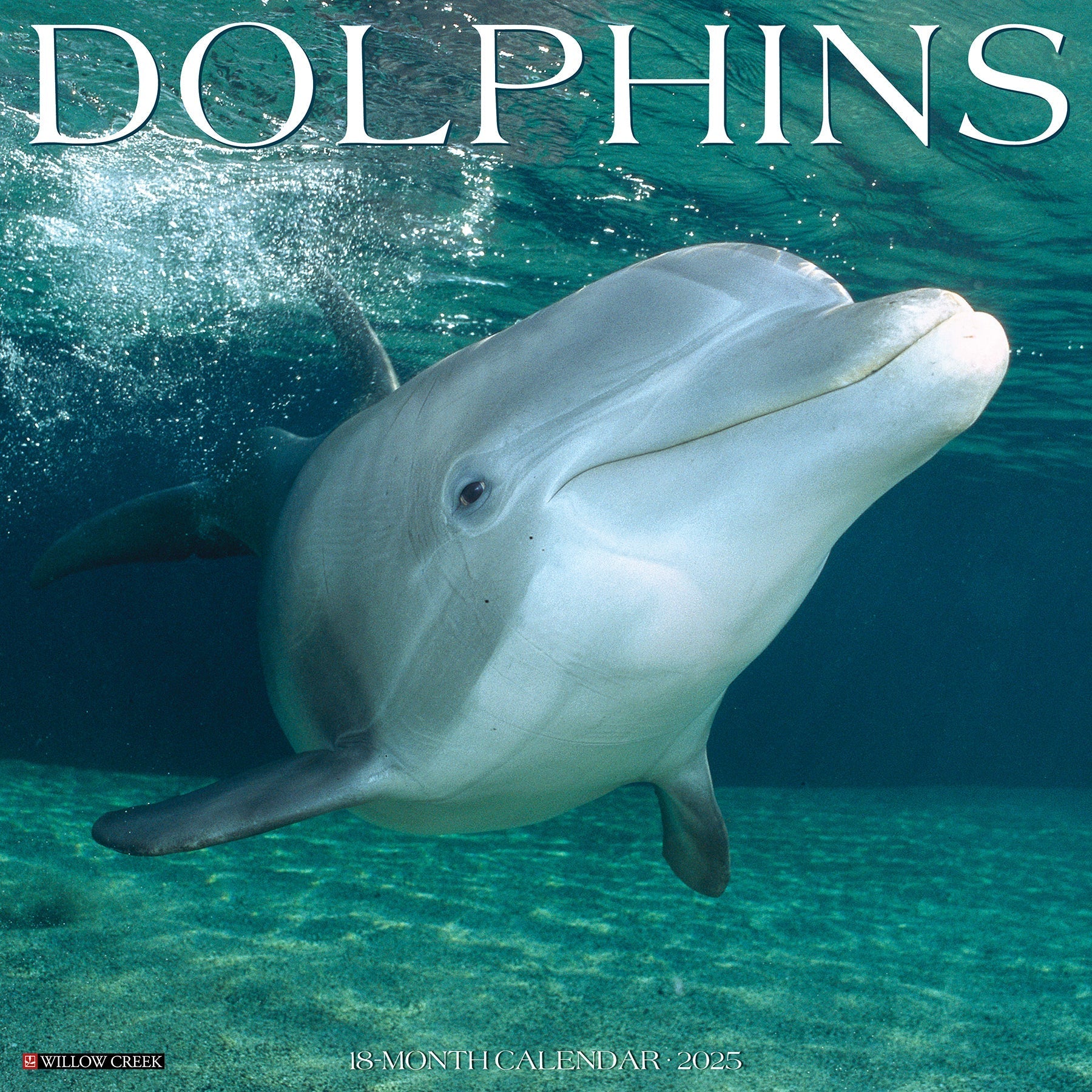 2025 Dolphins - Square Wall Calendar (US Only)