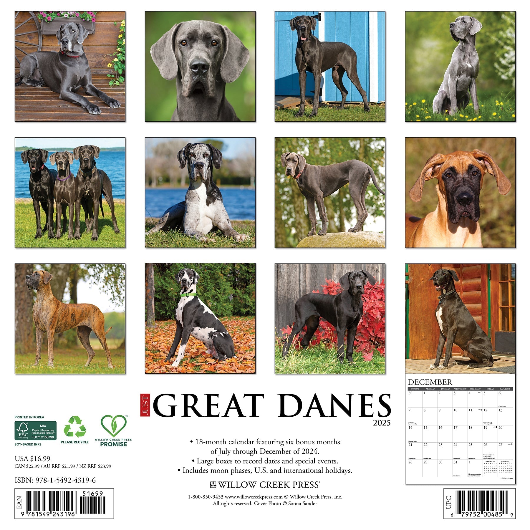 2025 Great Danes - Square Wall Calendar (US Only)