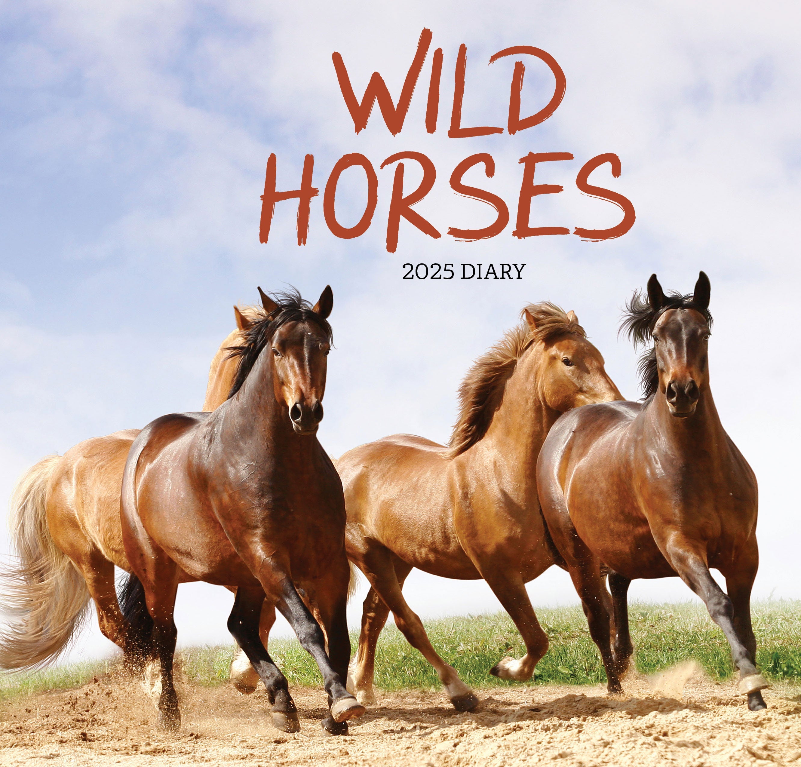 2025 Wild Horses - Bi-Weekly Diary/Planner