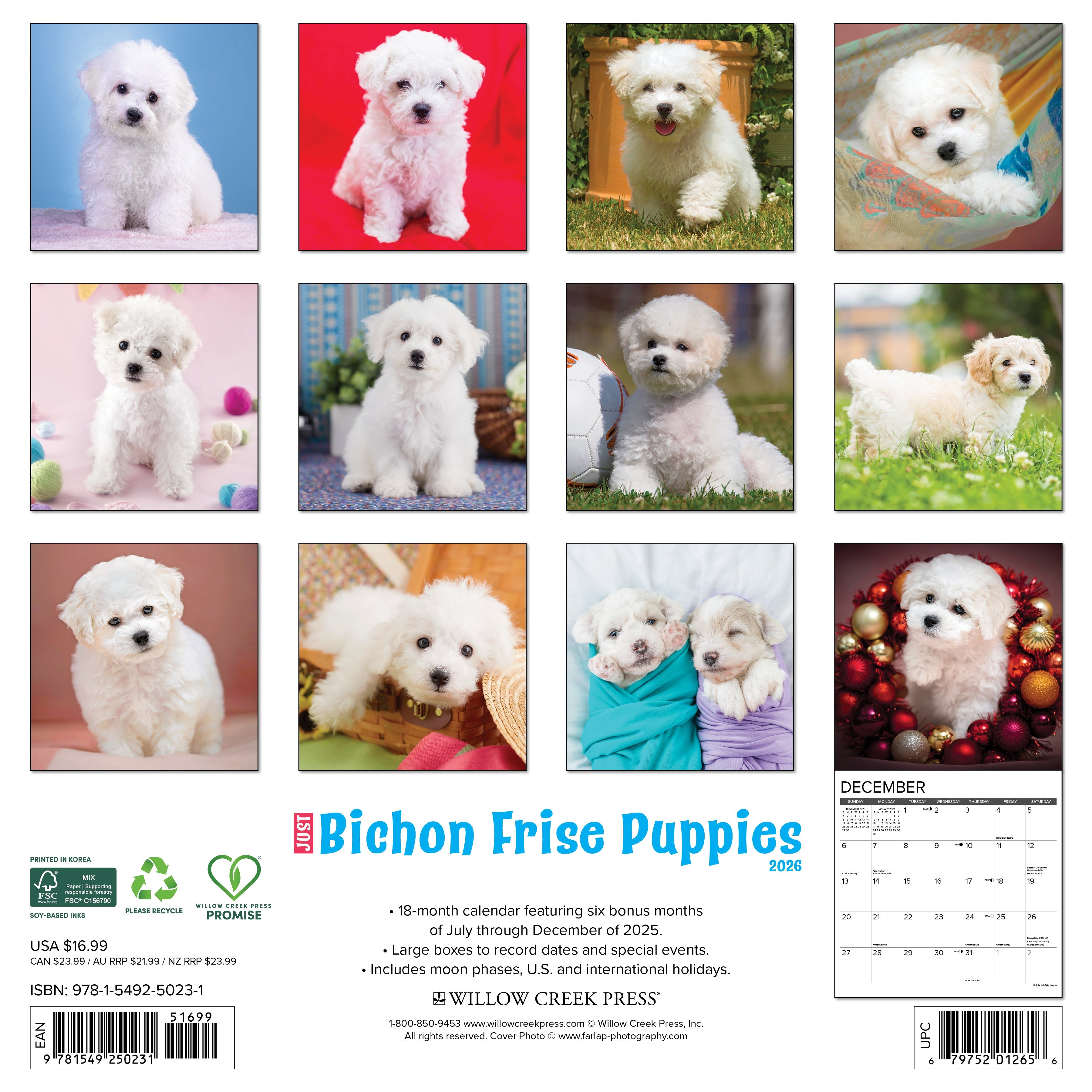 2026 Bichon Frise Puppies - Square Wall