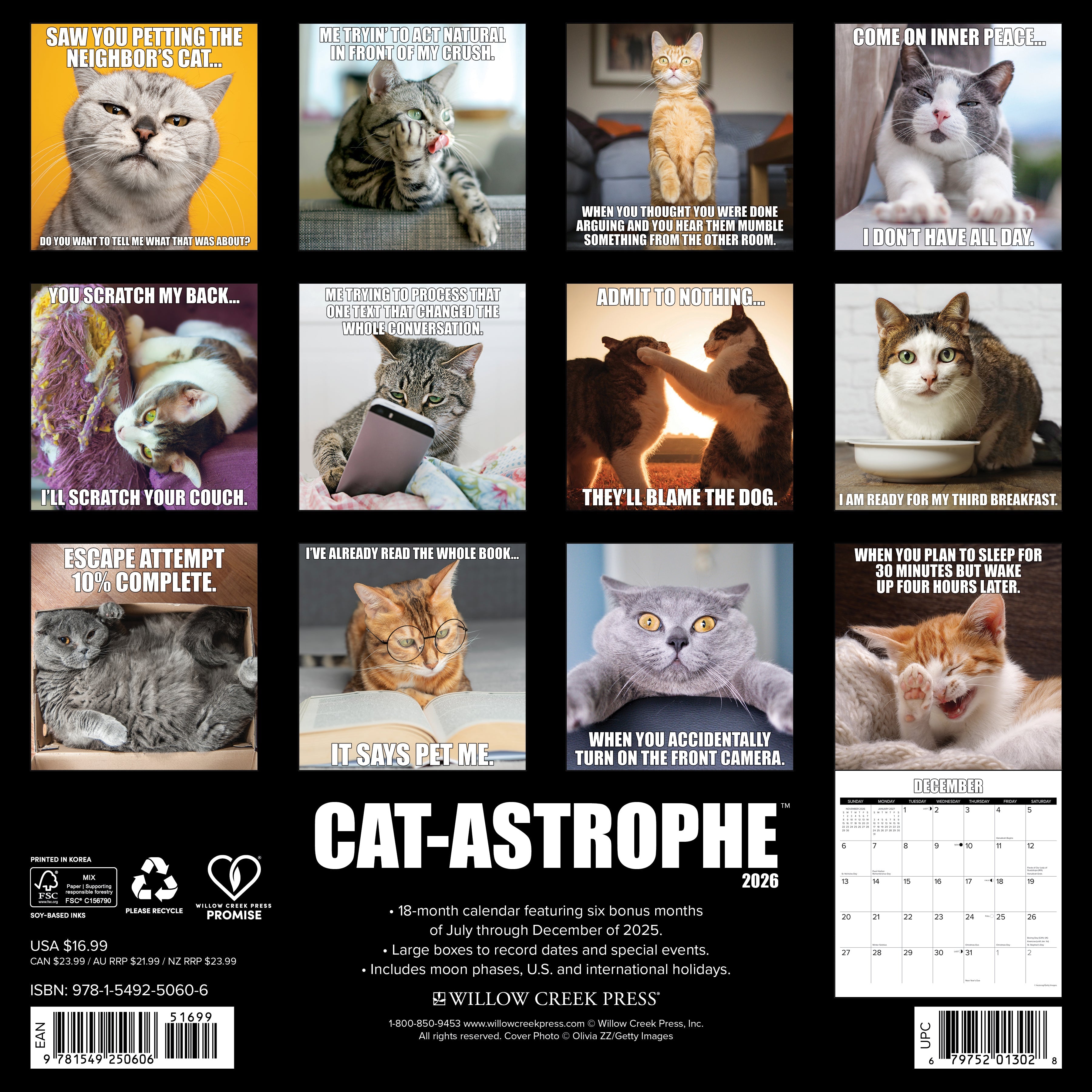 2026 Cat-astrophe - Square Wall