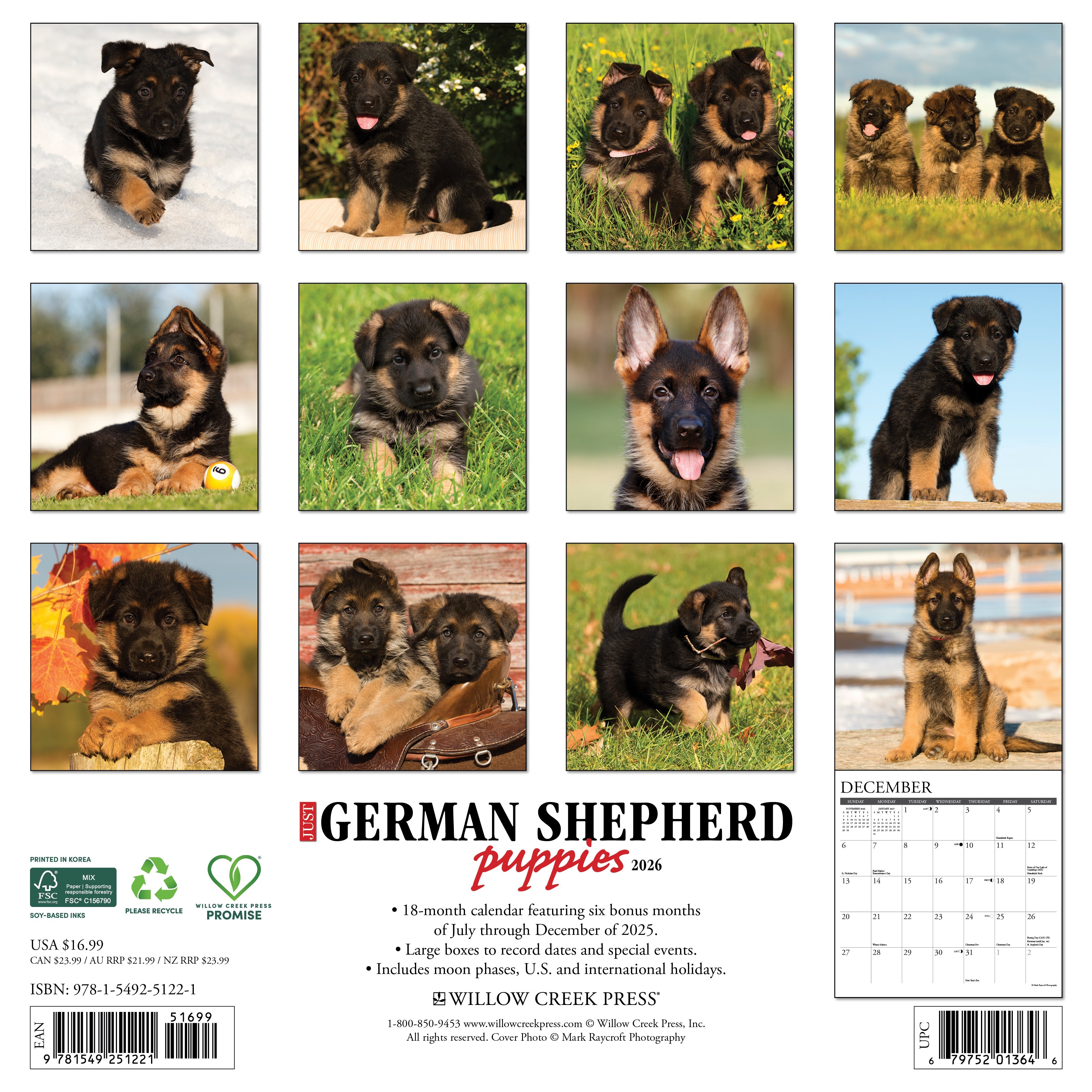 2026 German Shepherd Puppies - Square Wall