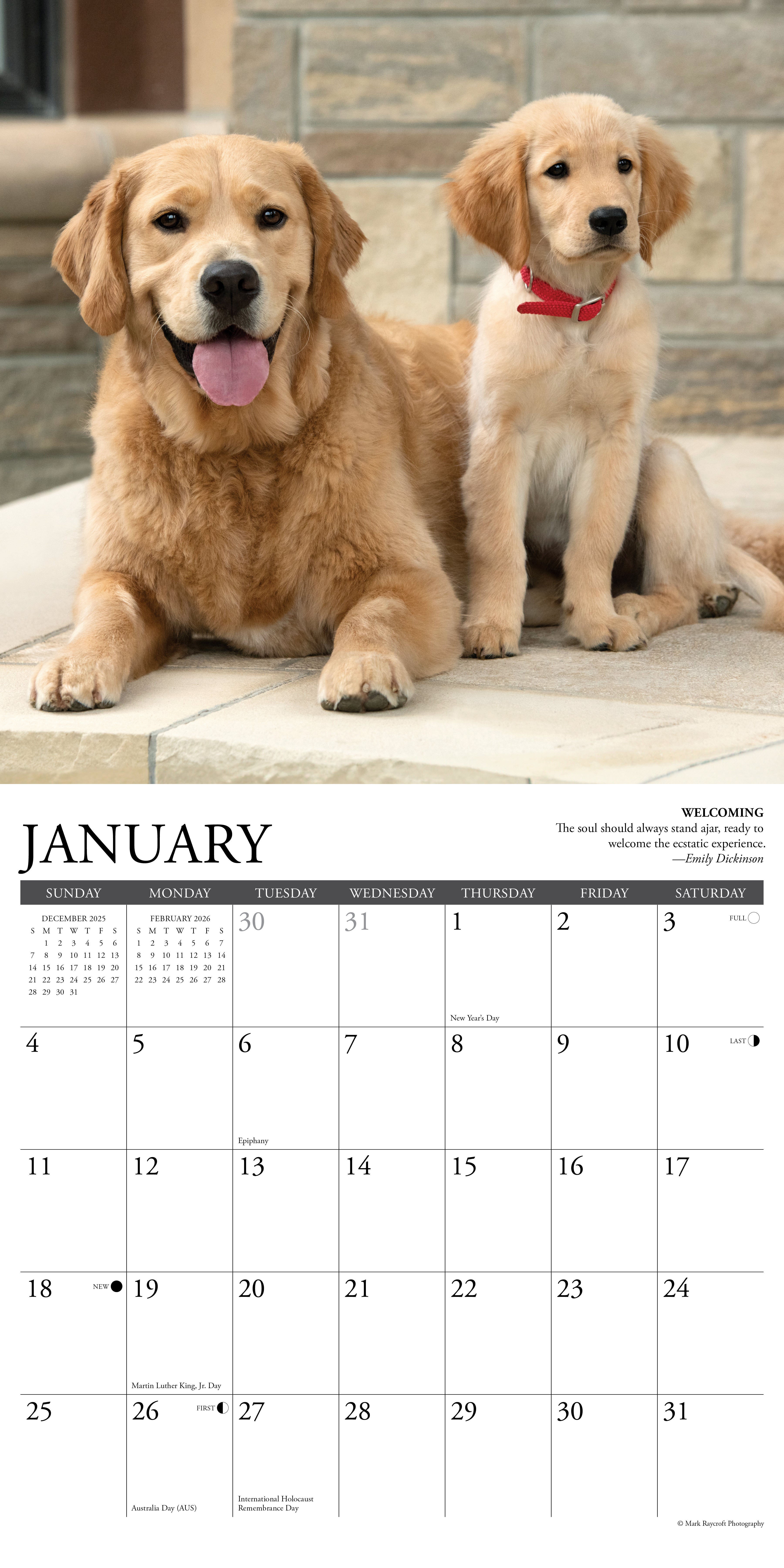 2026 Golden Rules - Square Wall