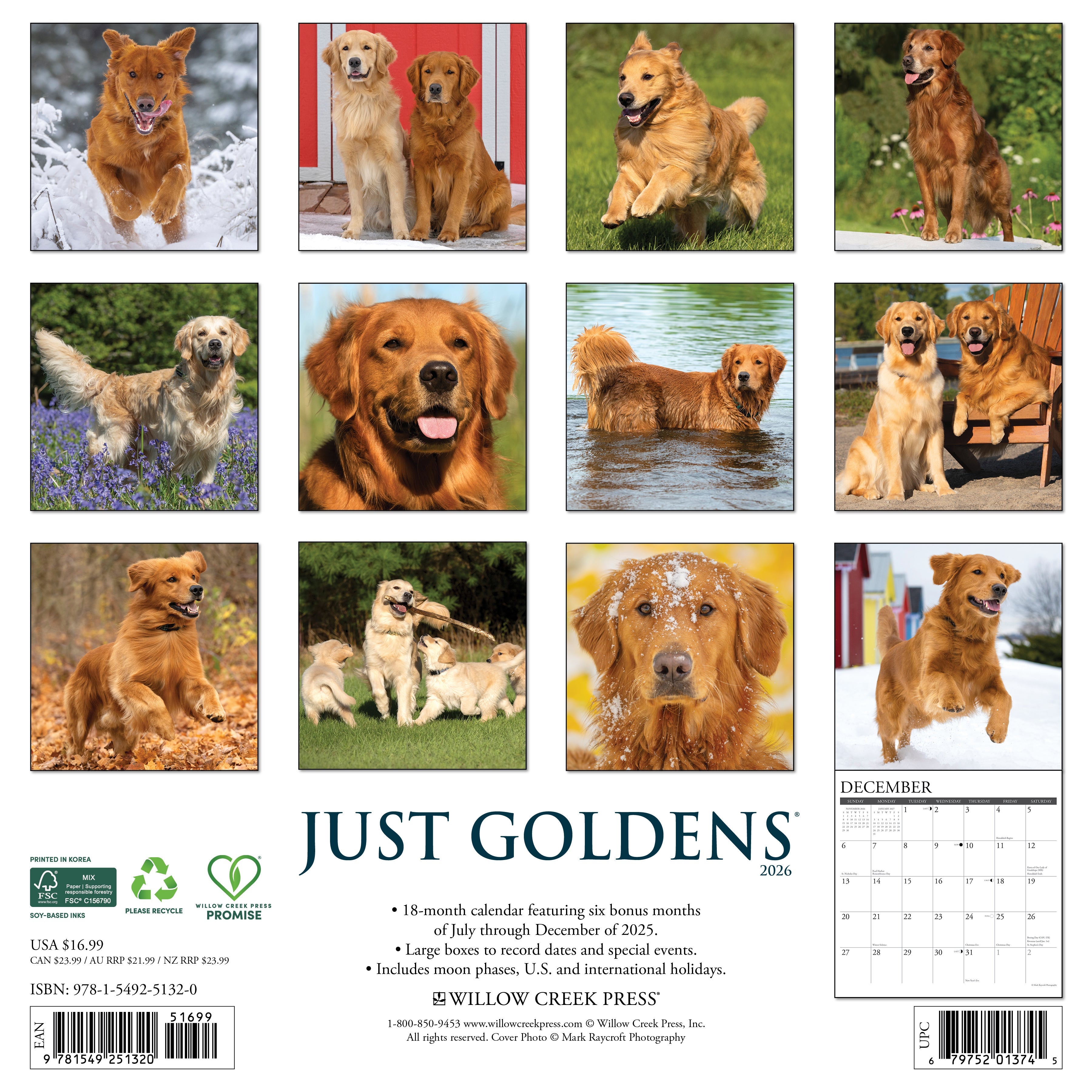 2026 Goldens - Square Wall