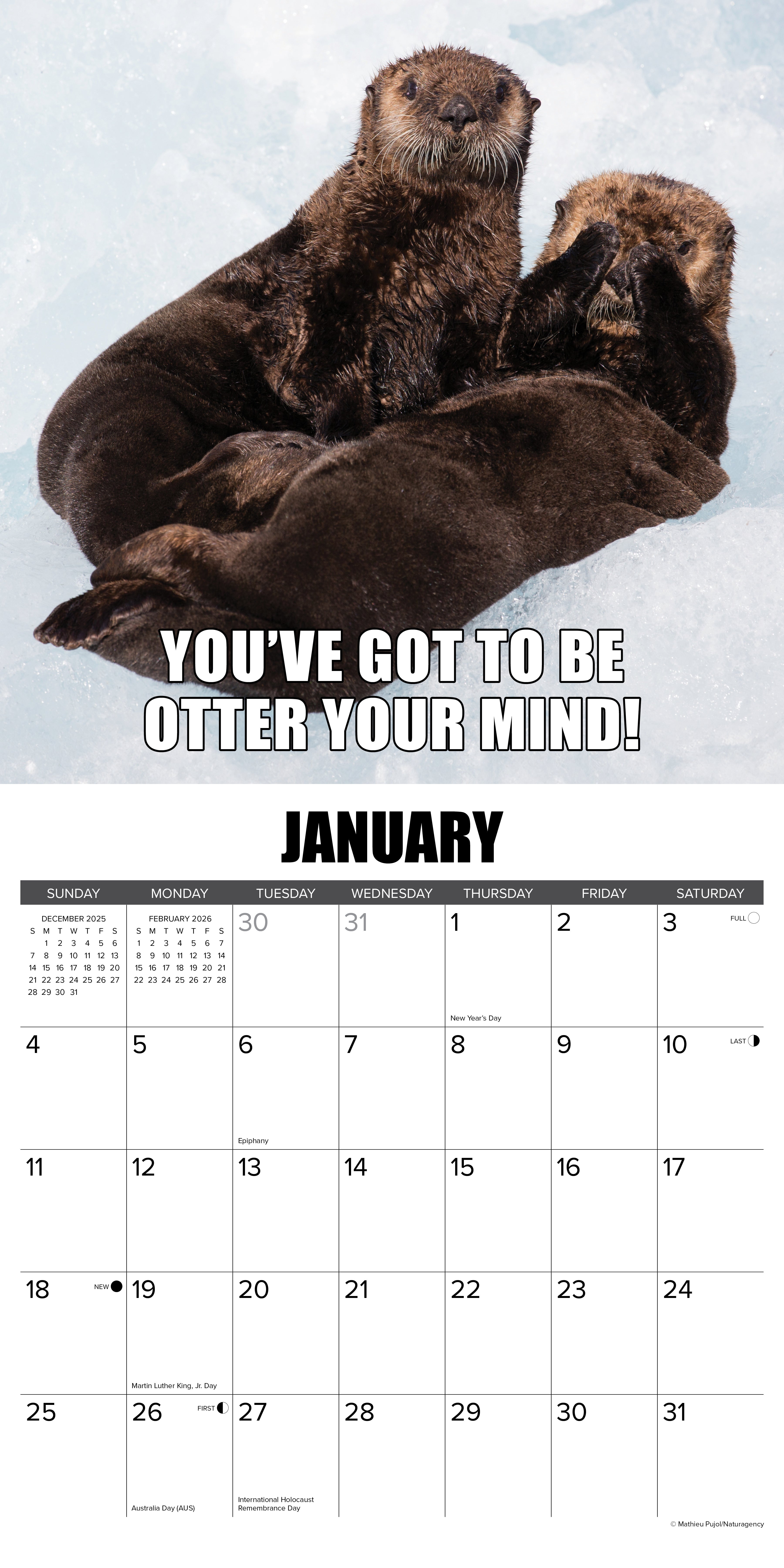 2026 In Otter News - Square Wall