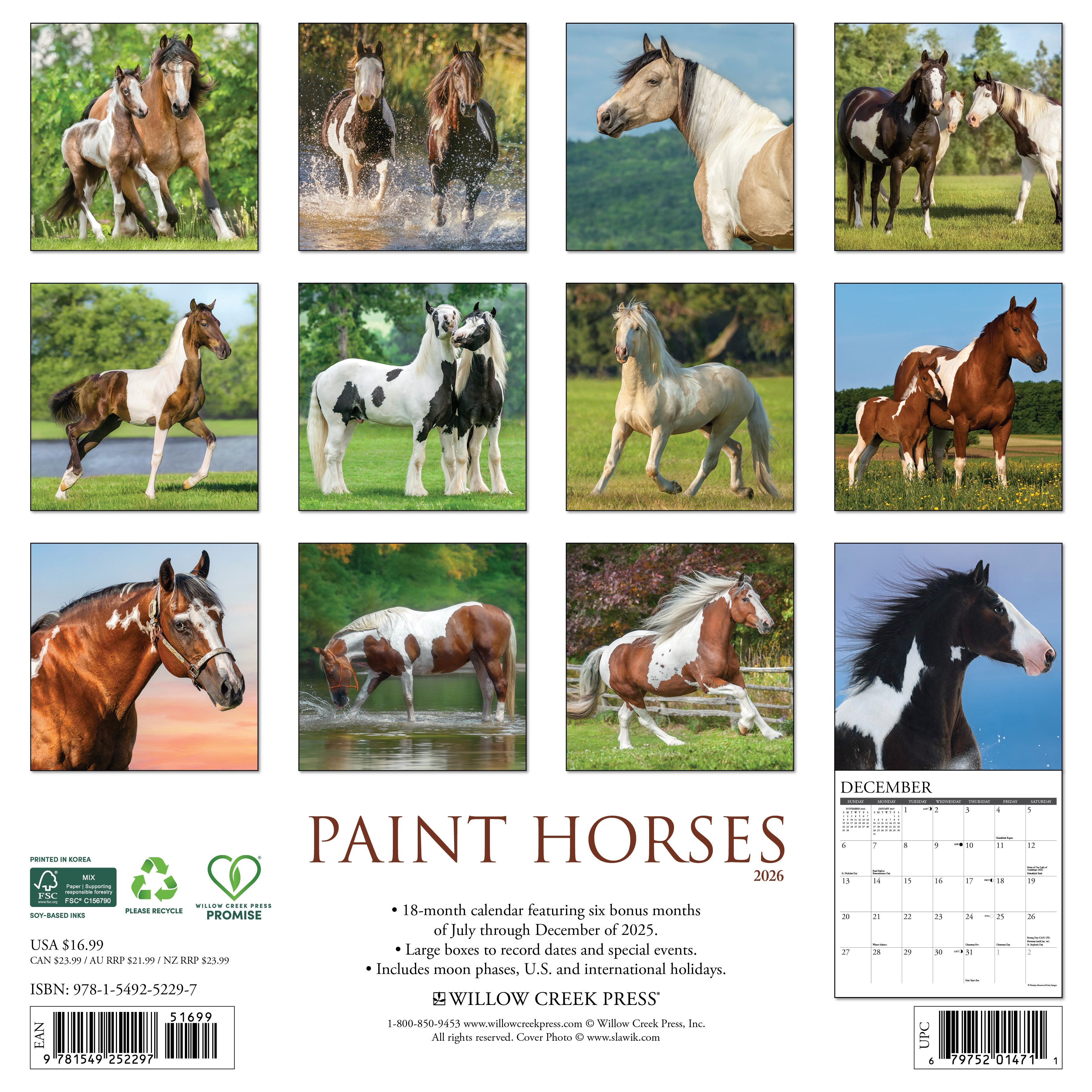 2026 Paint Horses - Square Wall