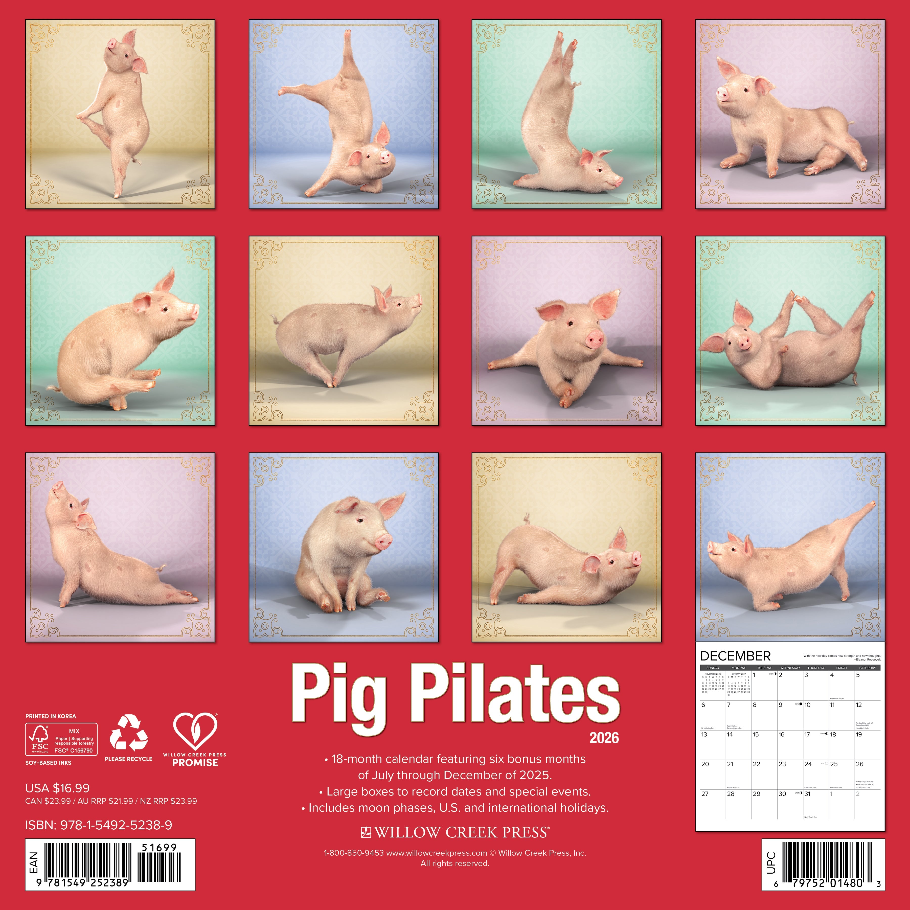 2026 Pig Pilates - Square Wall