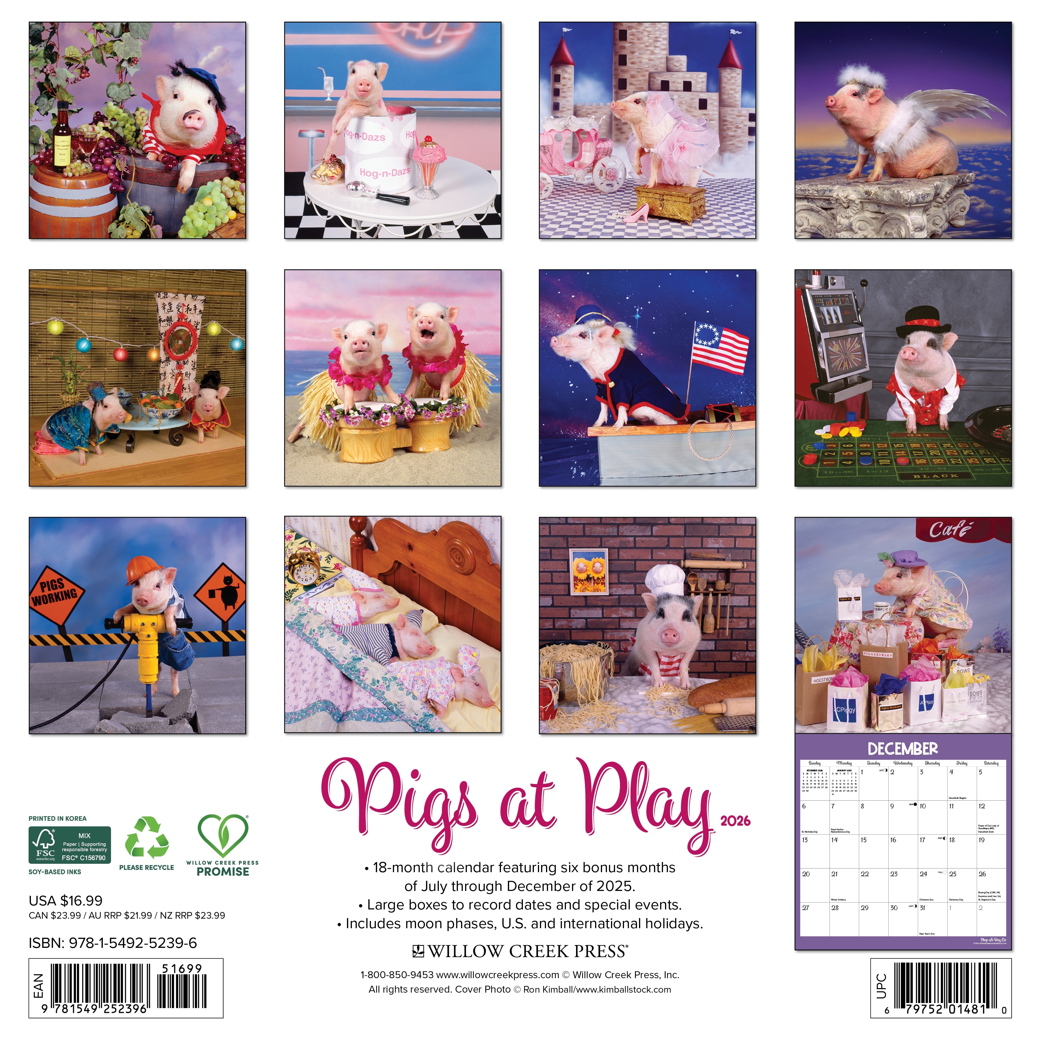 2026 Pigs at Play - Square Wall