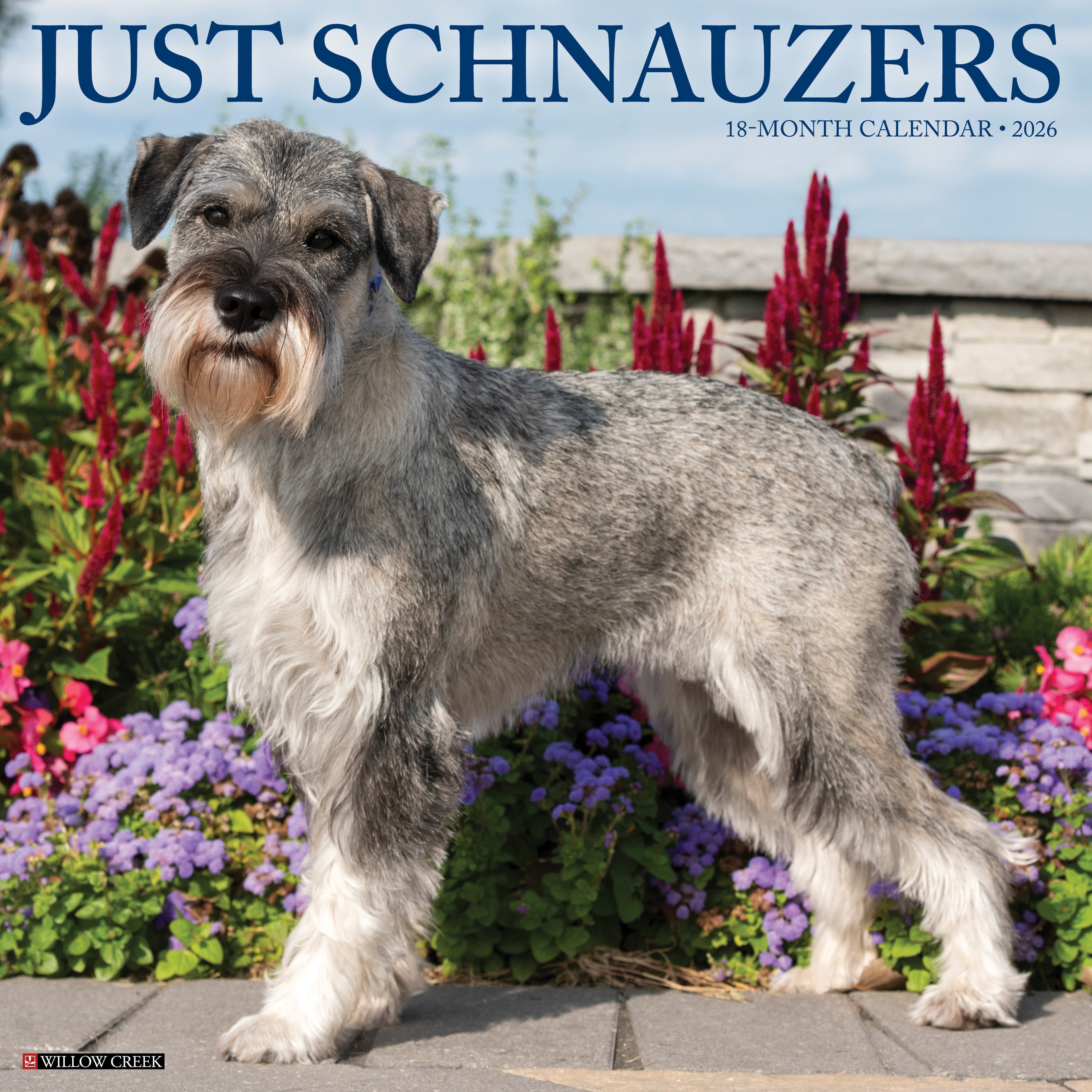 2026 Schnauzers - Square Wall
