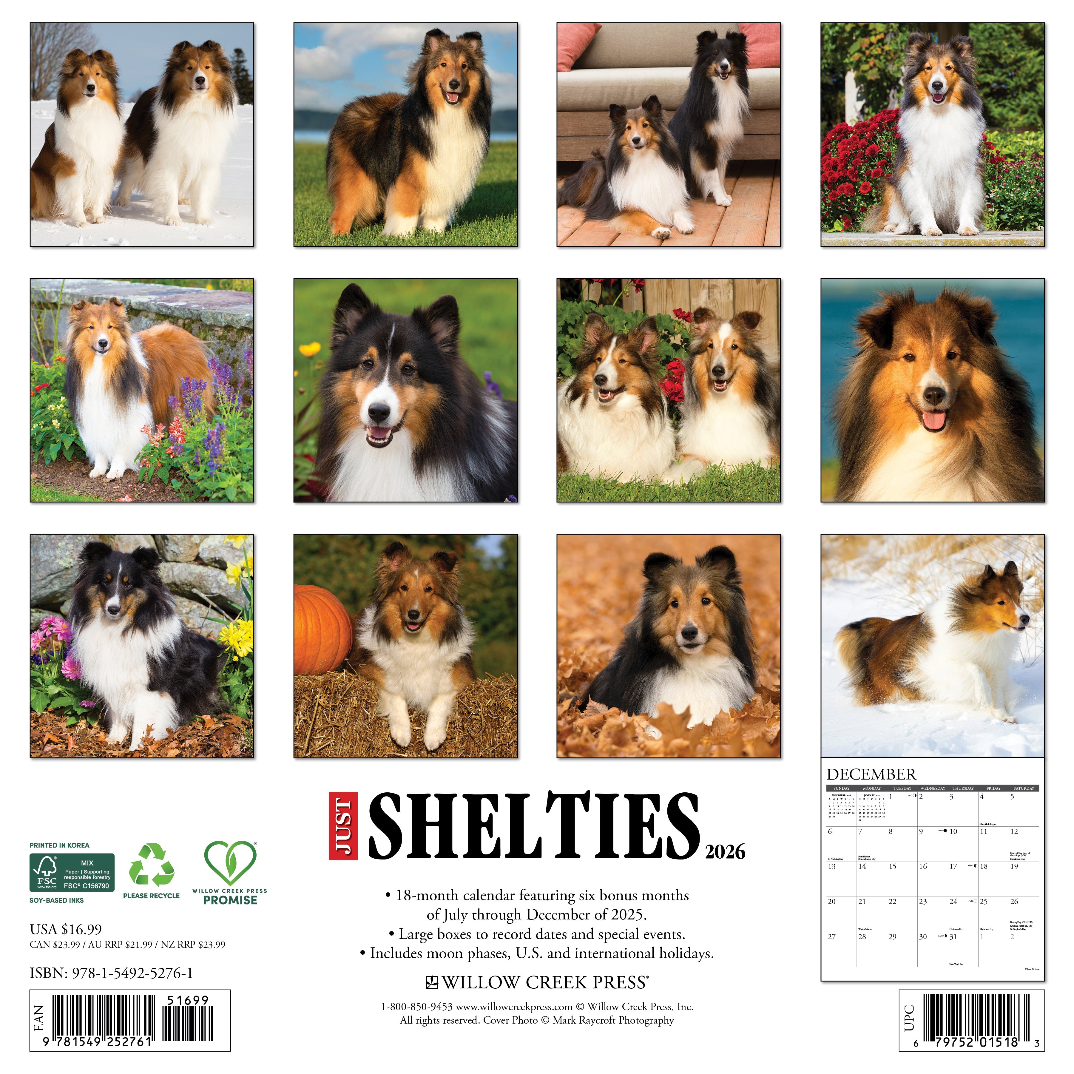 2026 Shelties - Square Wall