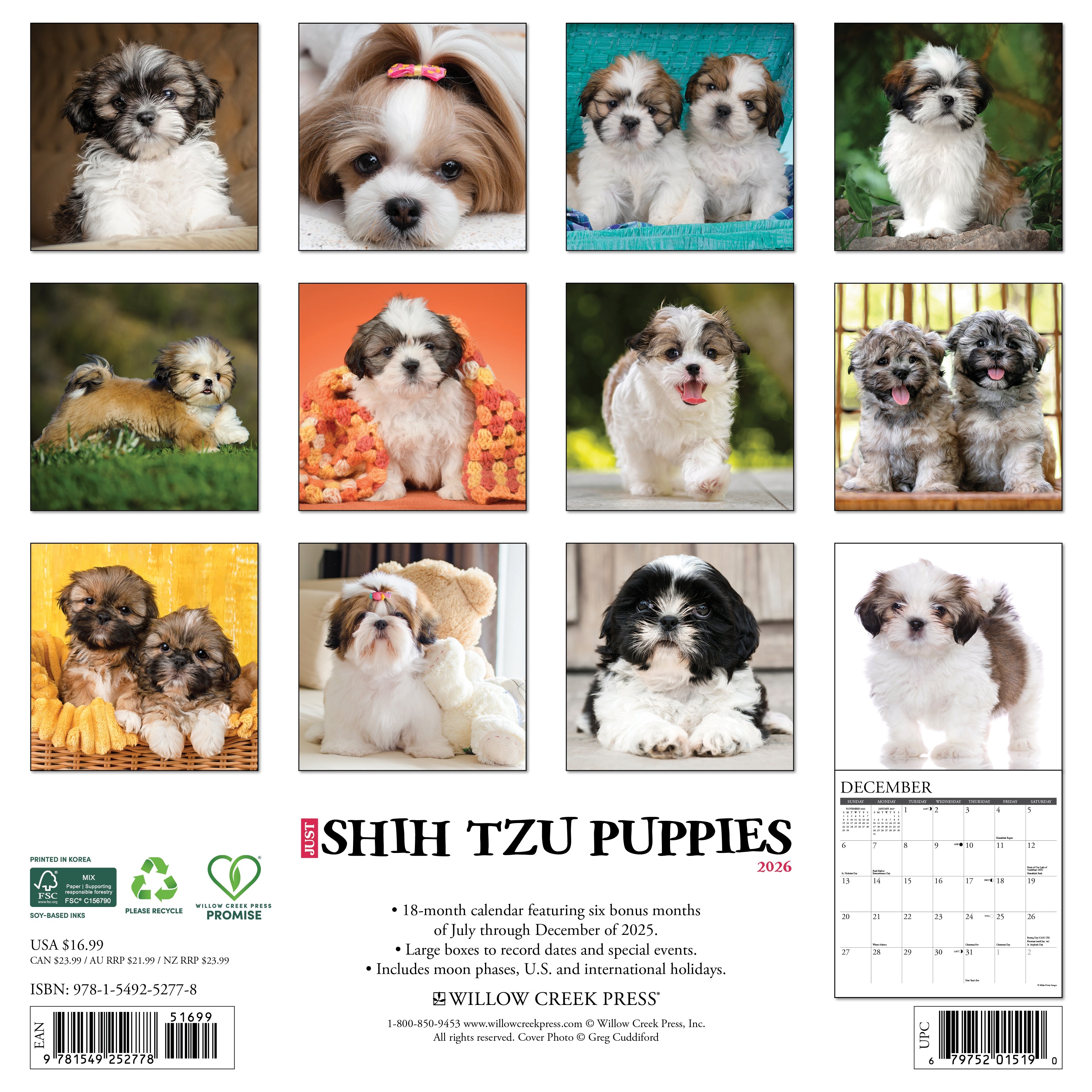2026 Shih Tzu Puppies - Square Wall