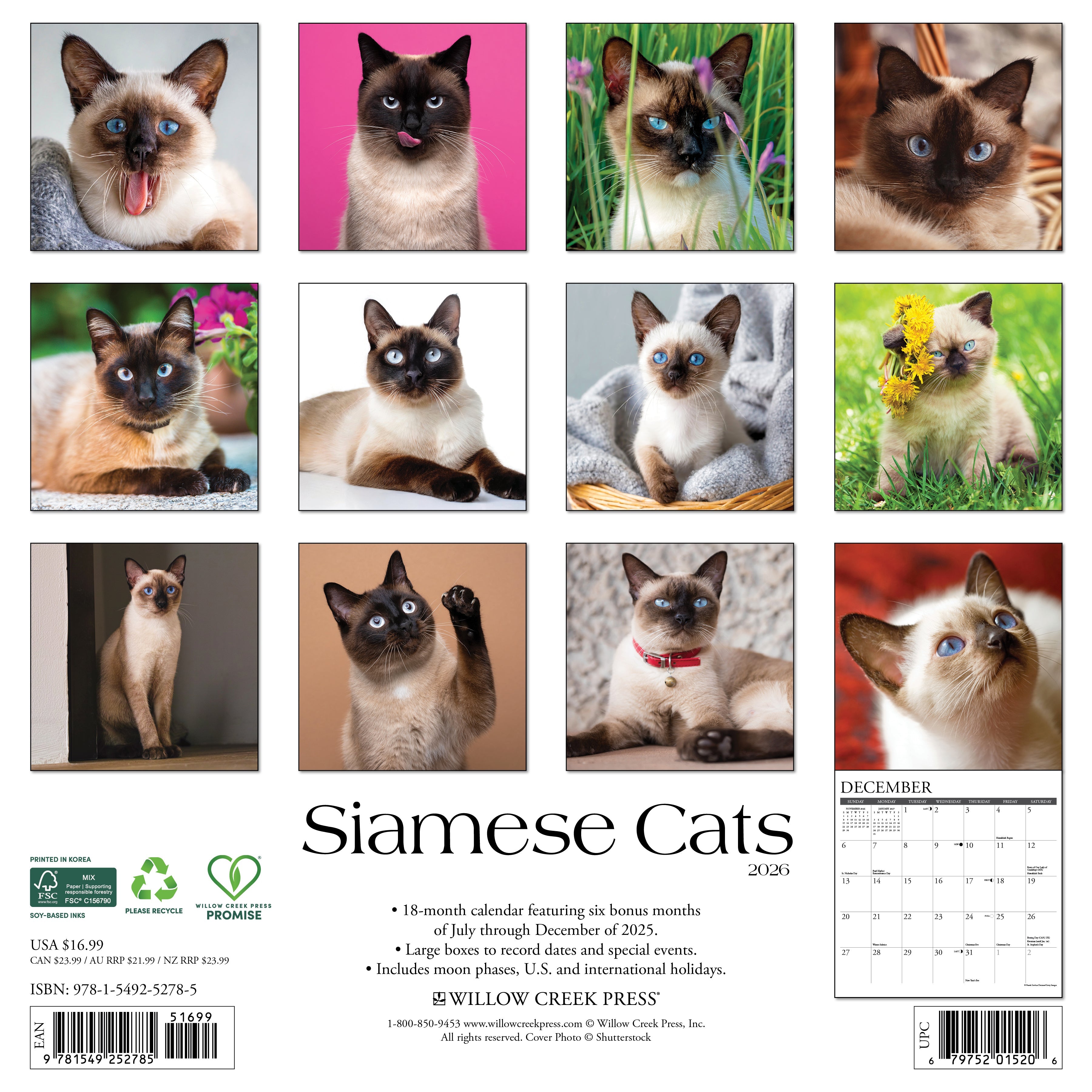 2026 Siamese Cats - Square Wall