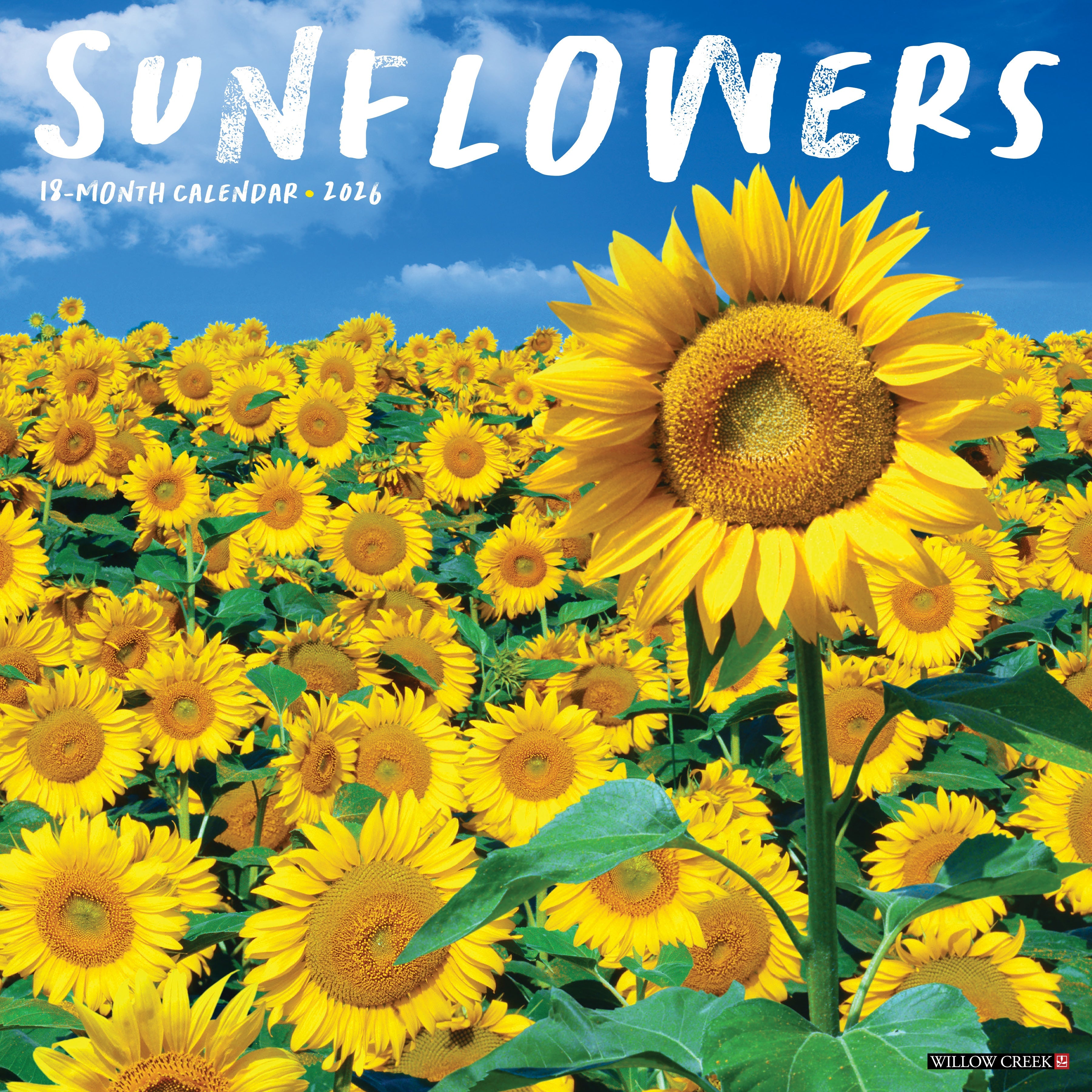 2026 Sunflowers - Square Wall