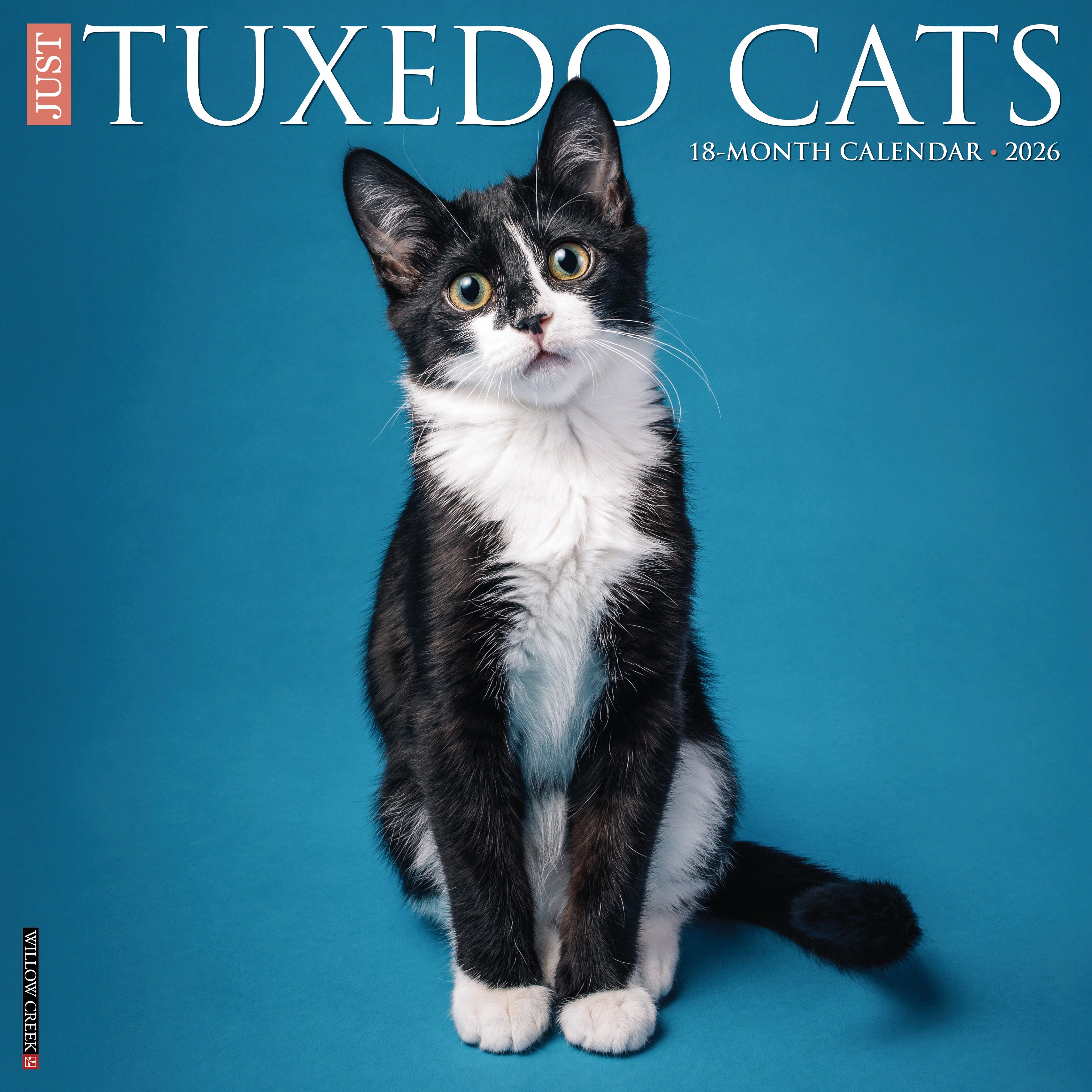 2026 Tuxedo Cats - Square Wall