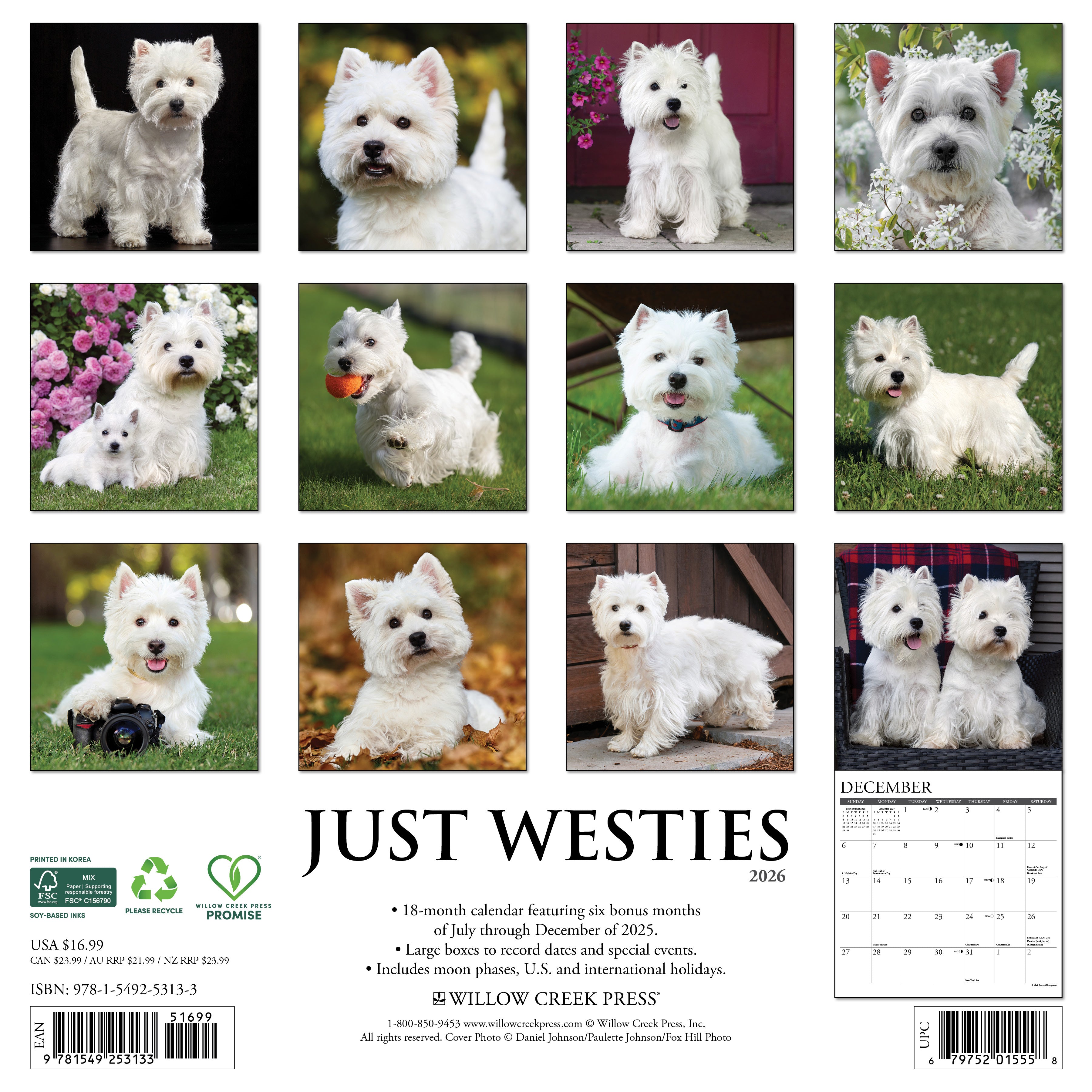 2026 Westies - Square Wall