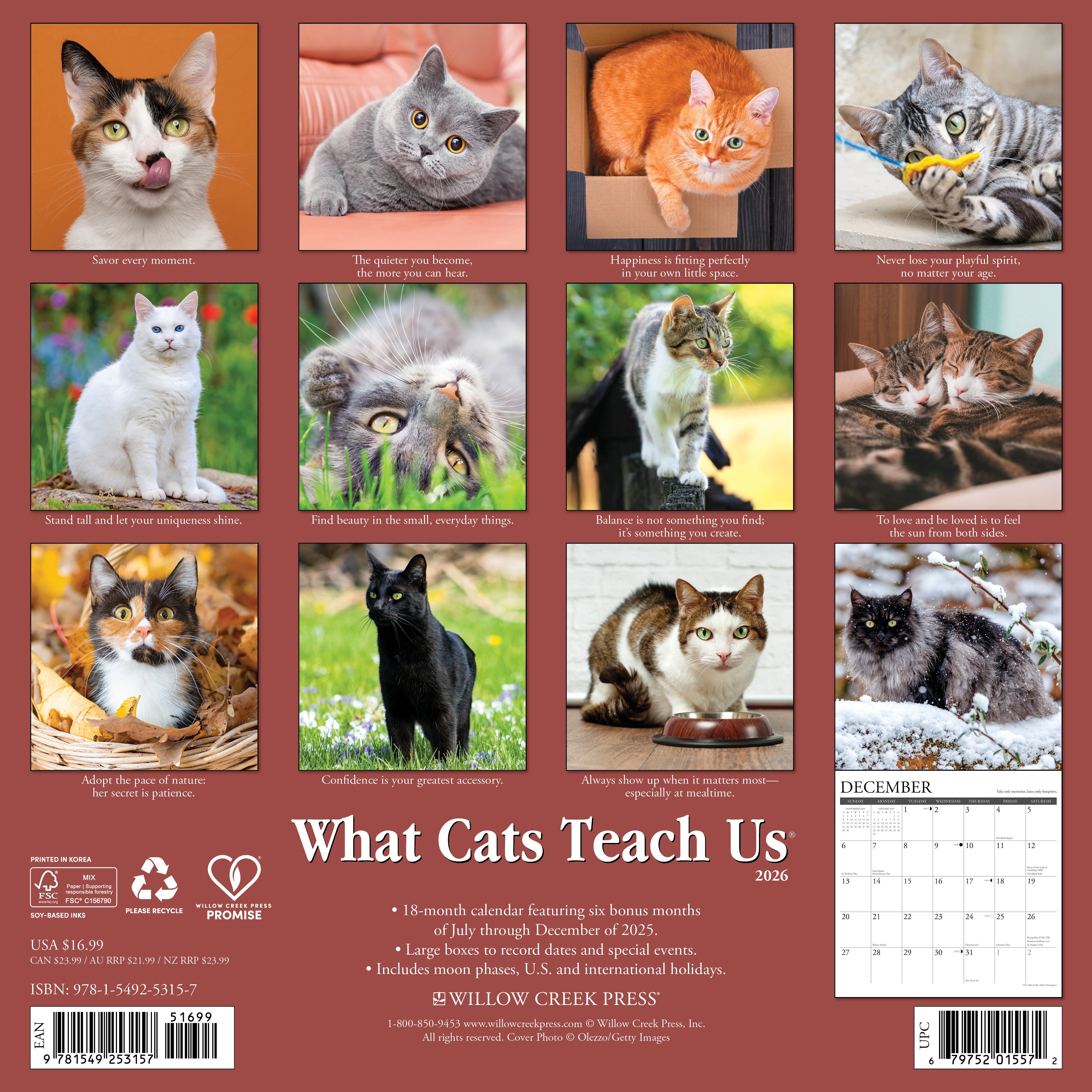 2026 What Cats Teach Us - Square Wall