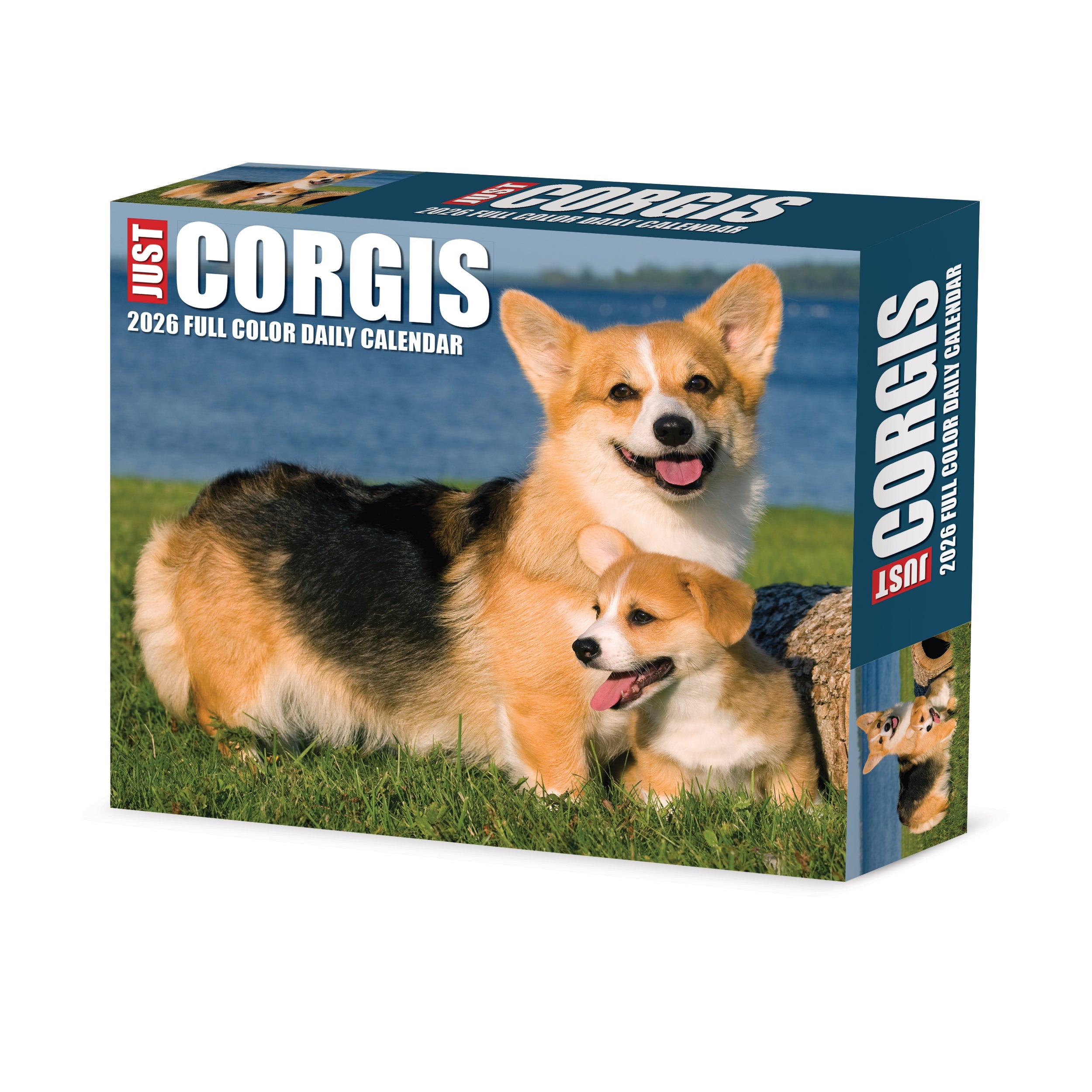 2026 Corgis - Boxed Page-A-Day