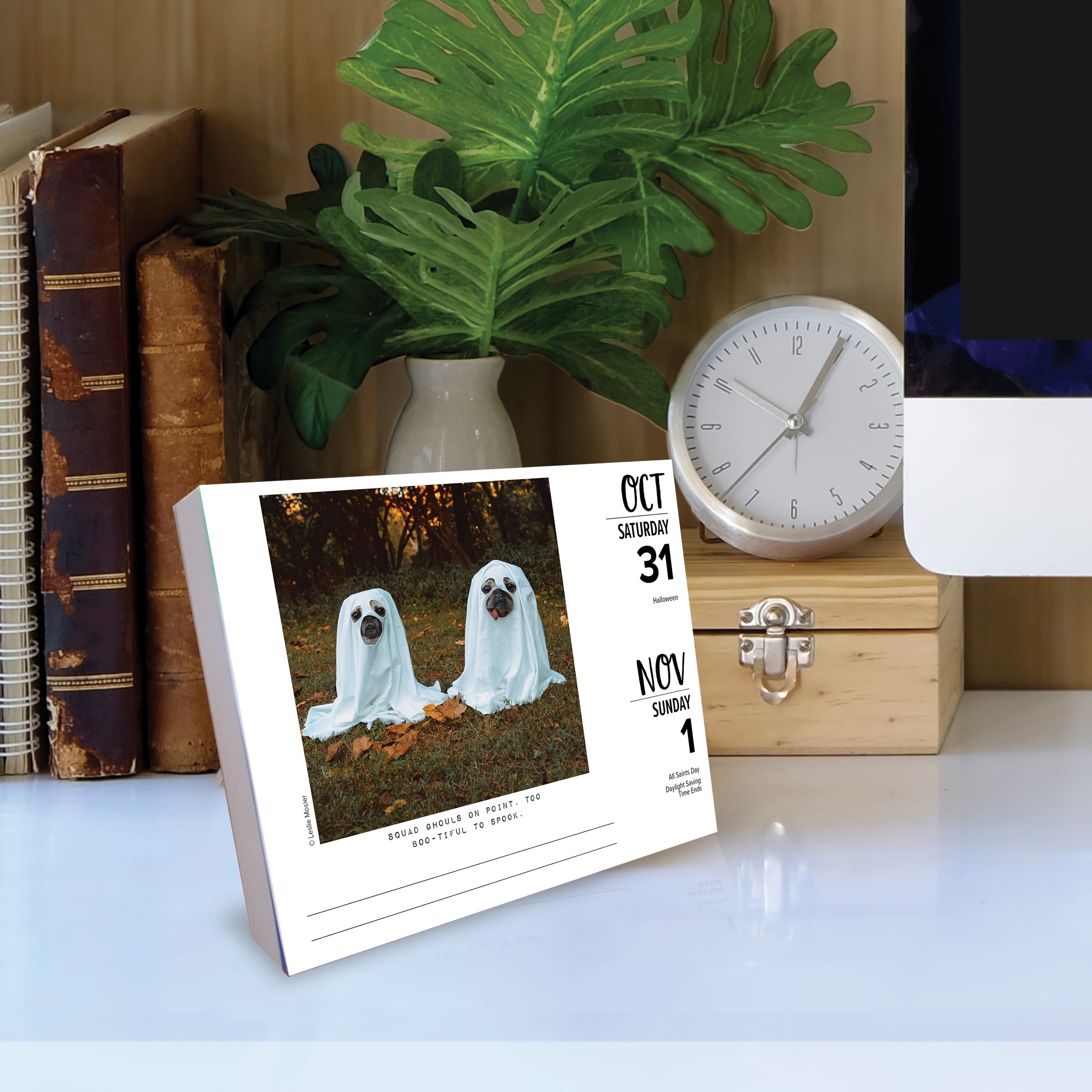 2026 Doug the Pug -USA - Boxed Page-A-Day