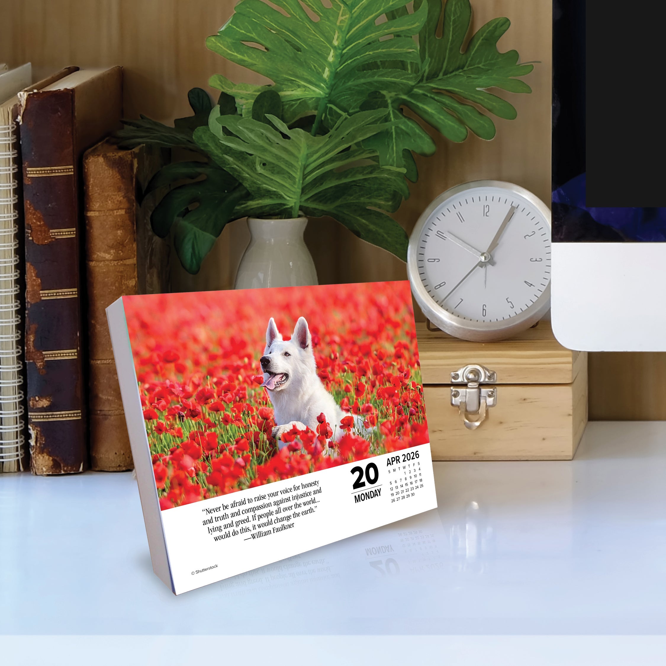 2026 What Dogs Teach Us - Boxed Page-A-Day