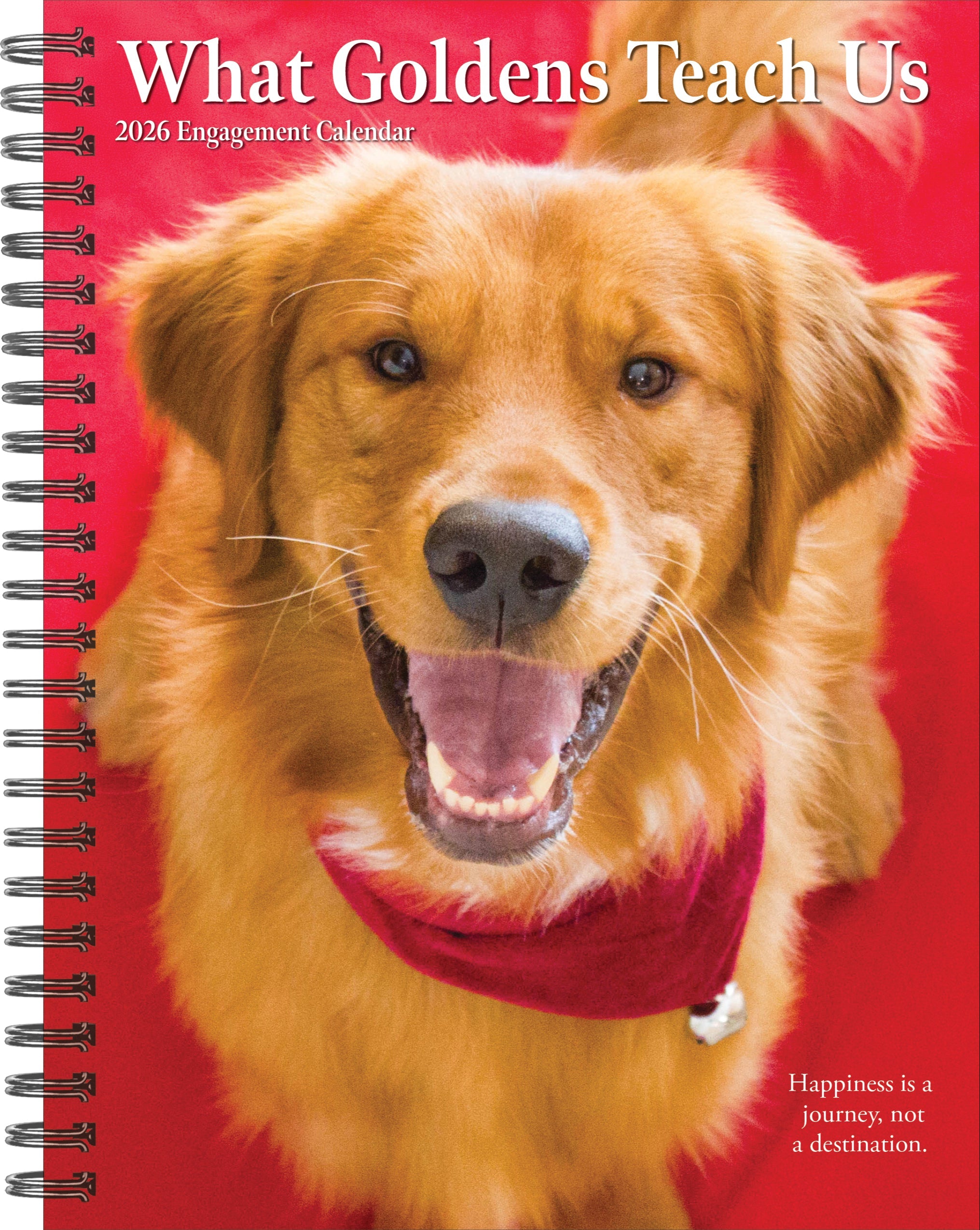 2026 What Goldens Teach Us - Weekly Diary/Planner