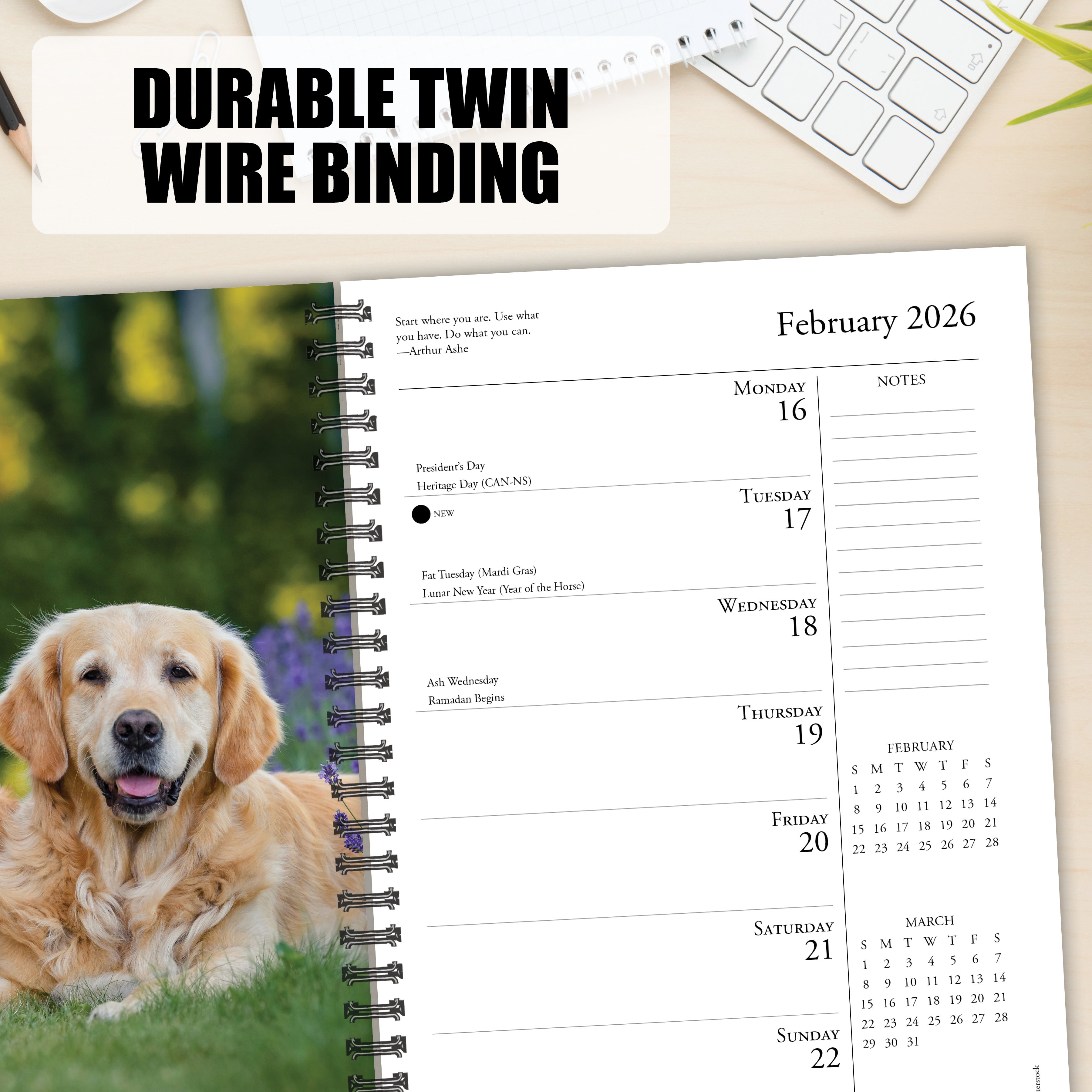 2026 What Goldens Teach Us - Weekly Diary/Planner