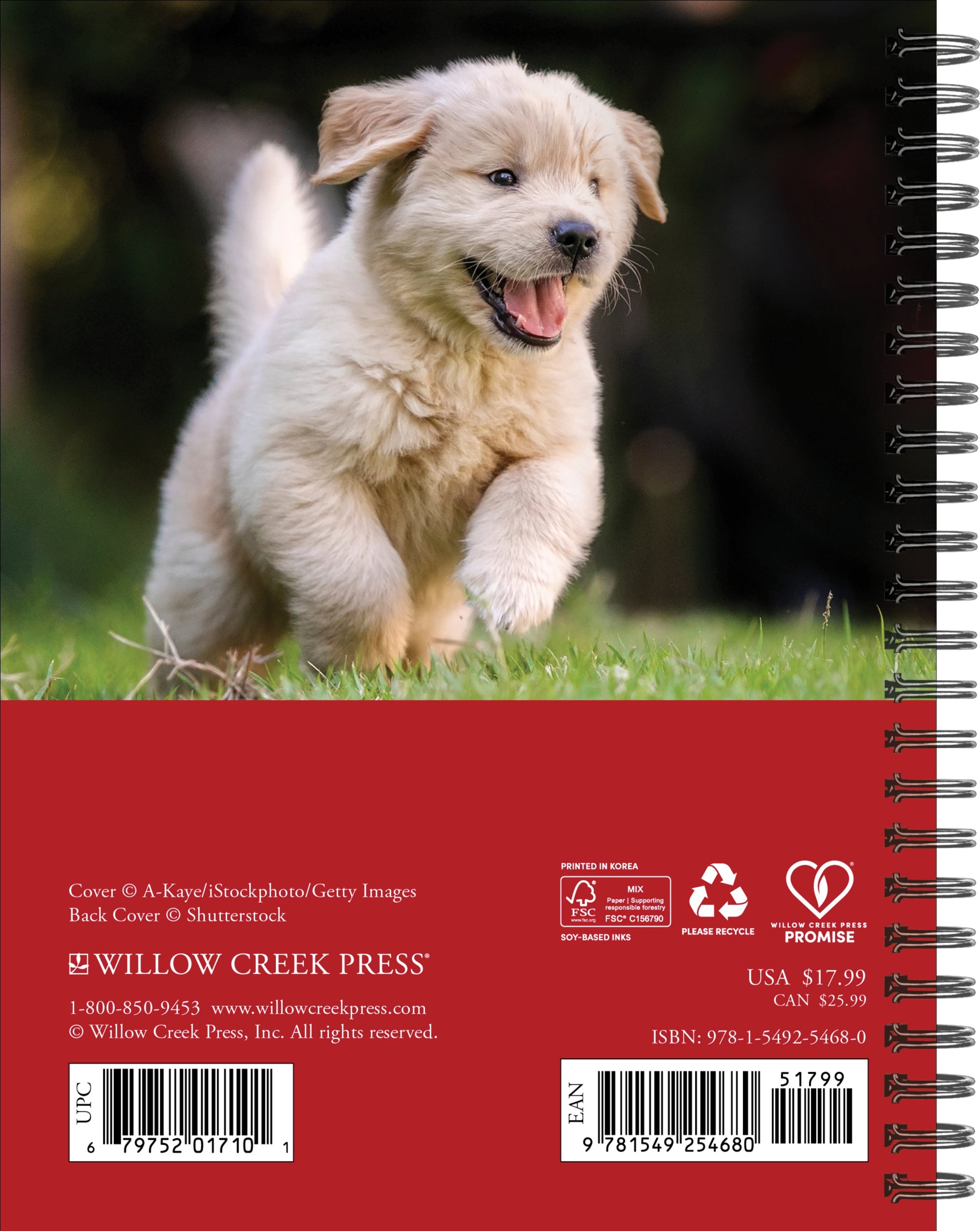 2026 What Goldens Teach Us - Weekly Diary/Planner