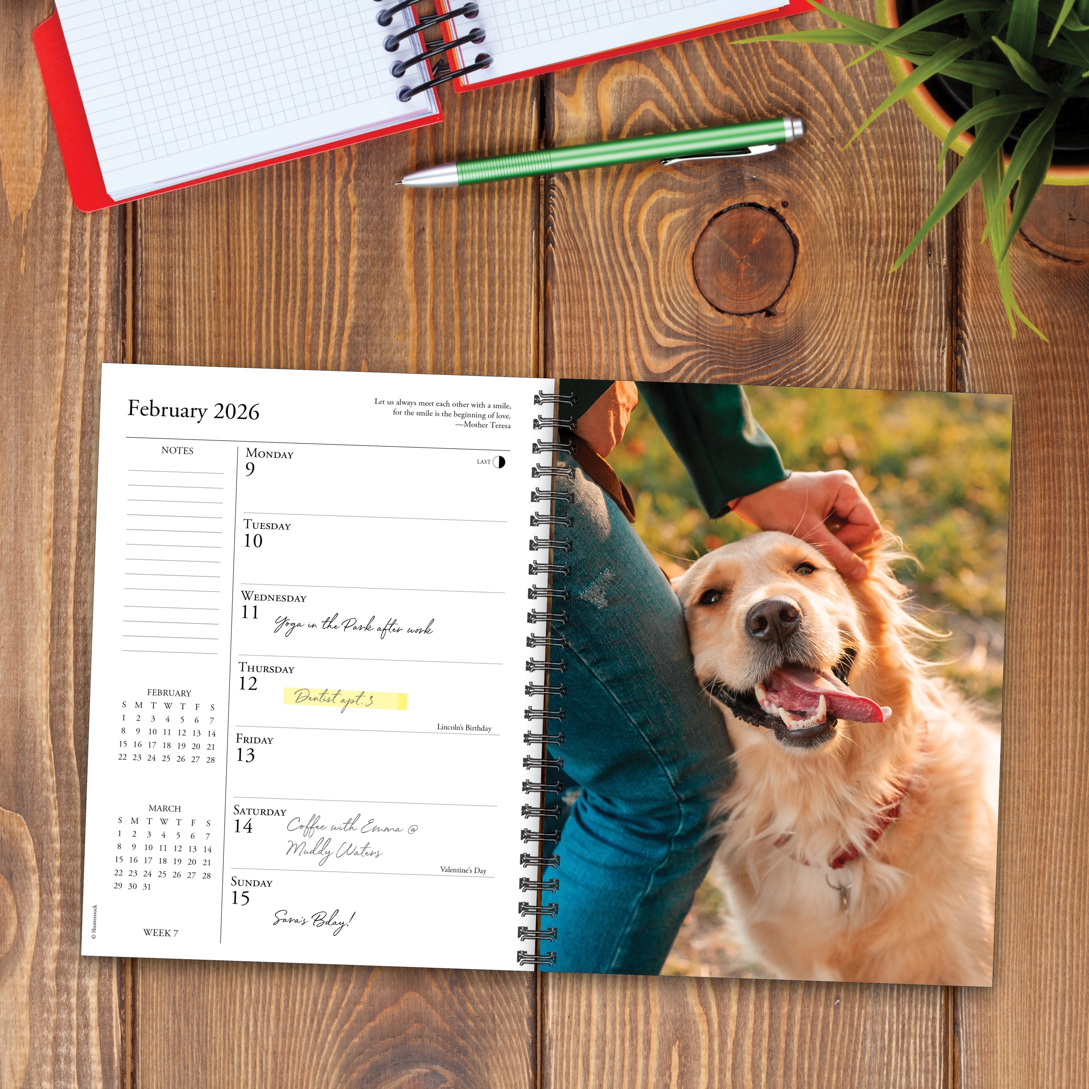 2026 What Goldens Teach Us - Weekly Diary/Planner