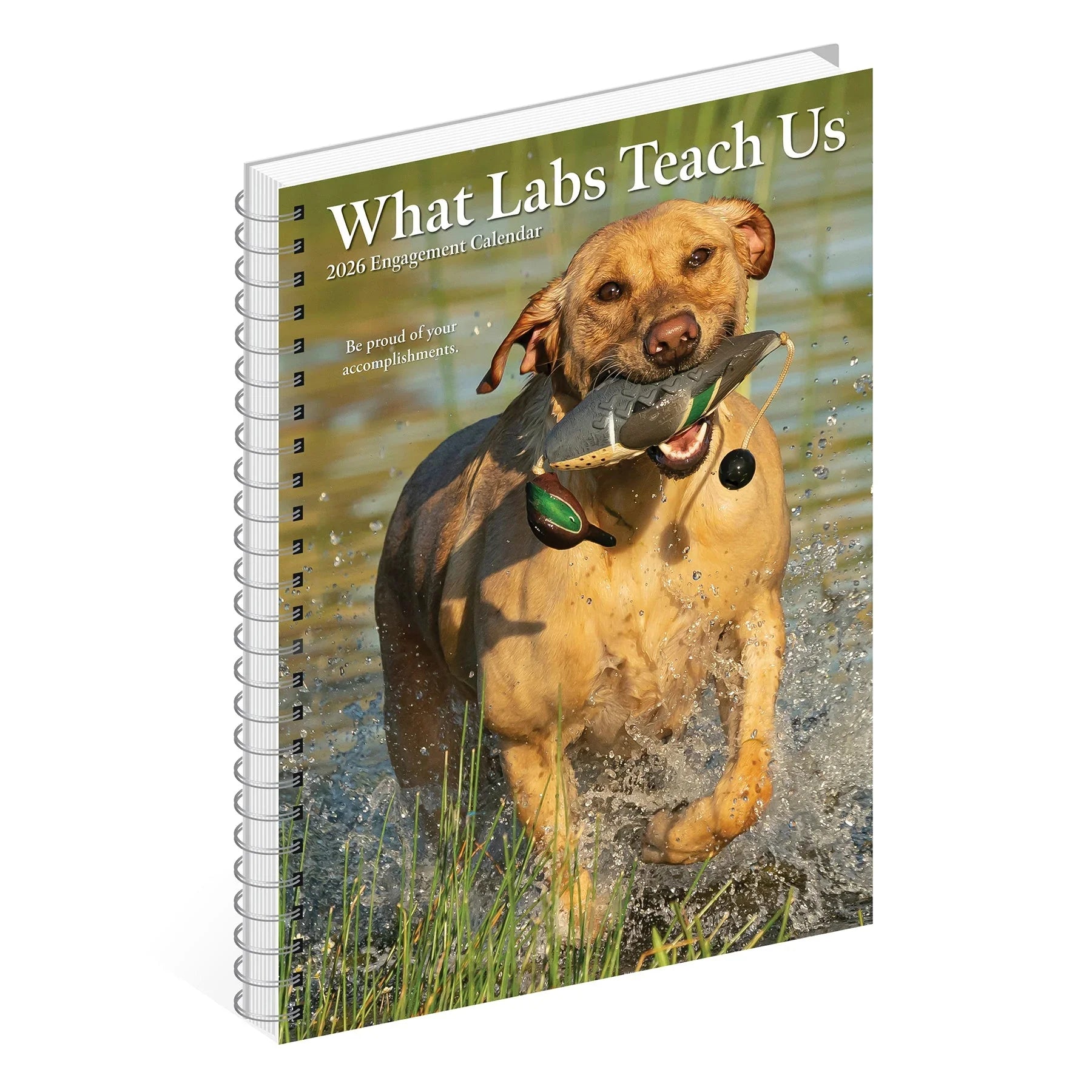 2026 What Labs Teach Us - Weekly Diary/Planner