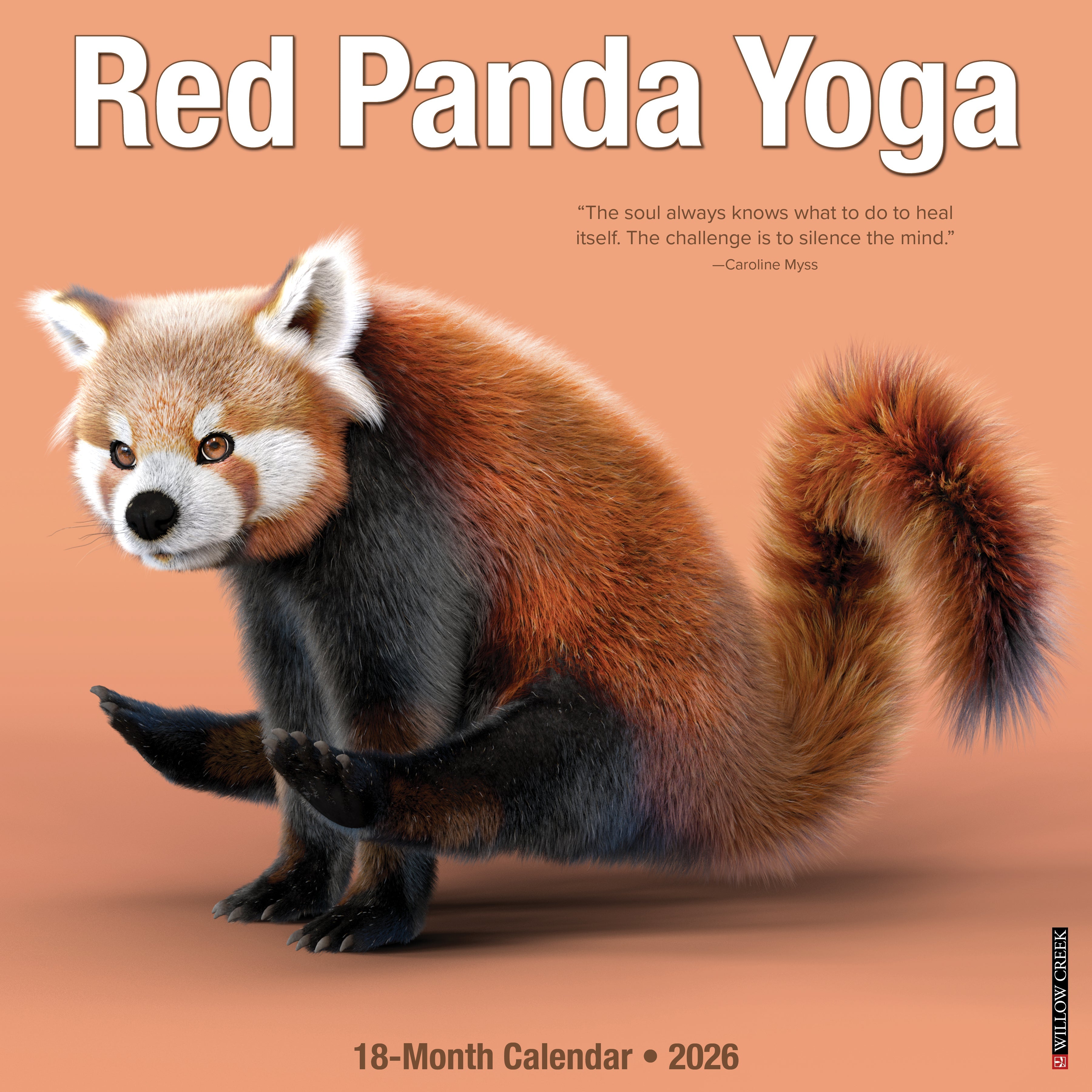 2026 Red Panda Yoga - Square Wall