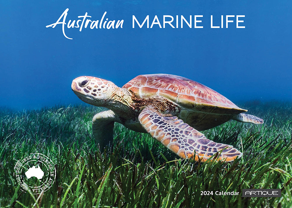 2024 Australian Marine Life (by Artique) - Horizontal Wall Calendar