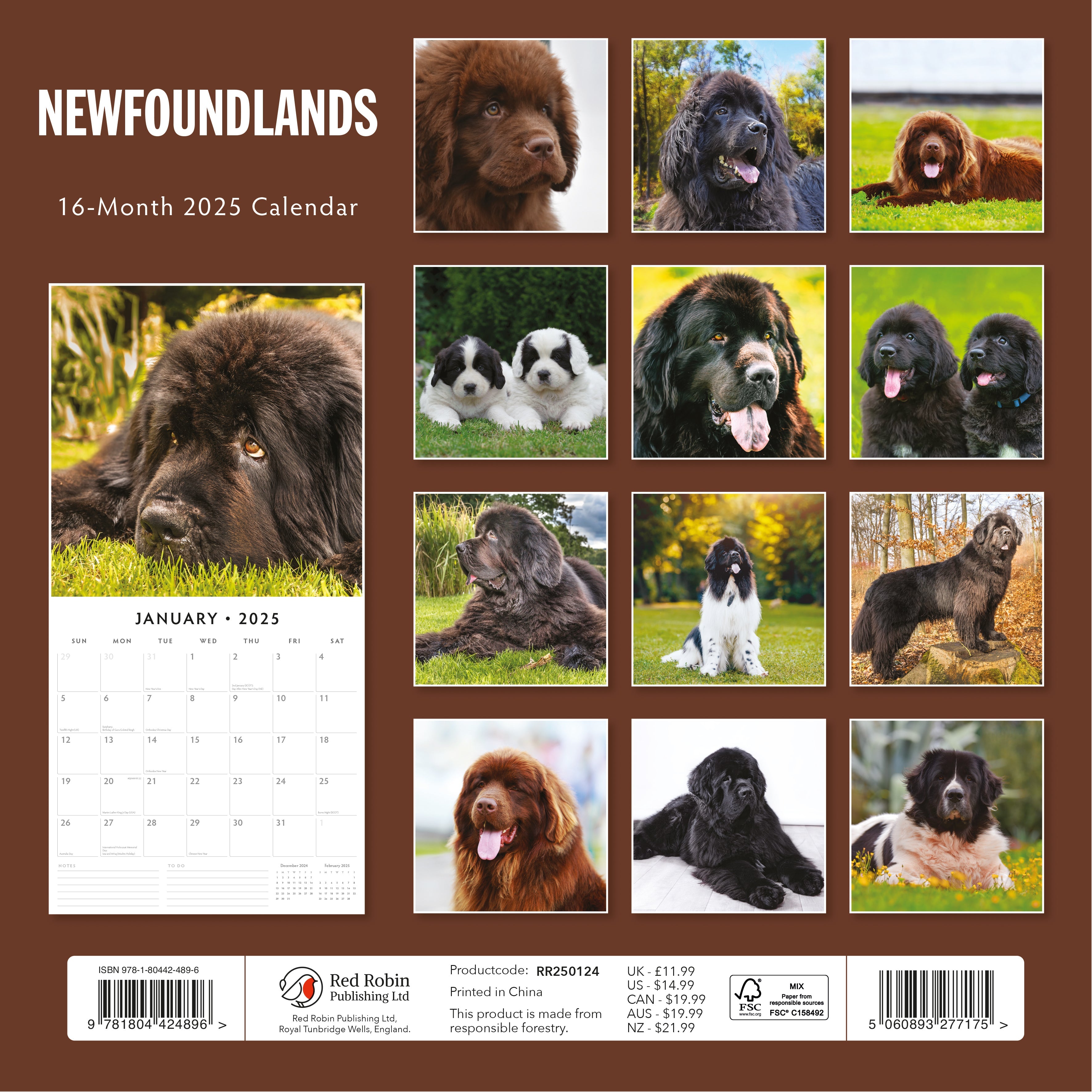 2025 Newfoundlands - Square Wall Calendar