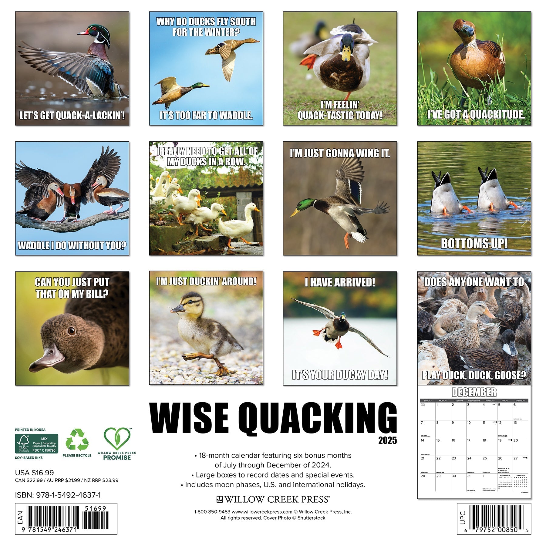 2025 Wise Quacking - Square Wall Calendar (US Only)