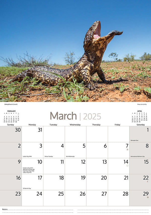 2025 Australian Wildlife By Artique - Horizontal Wall Calendar