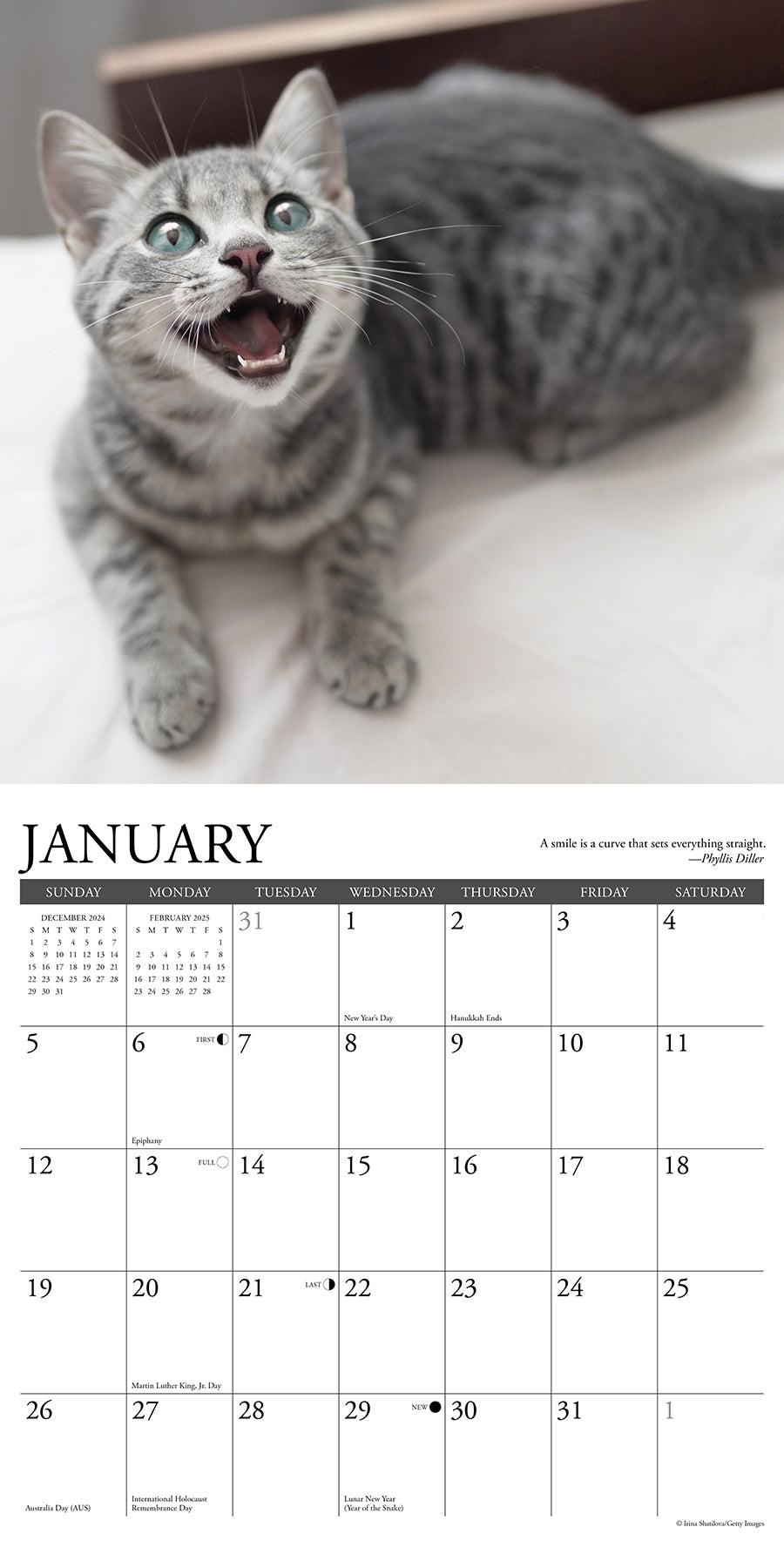 2025 Happy Cats - Square Wall Calendar (US Only)