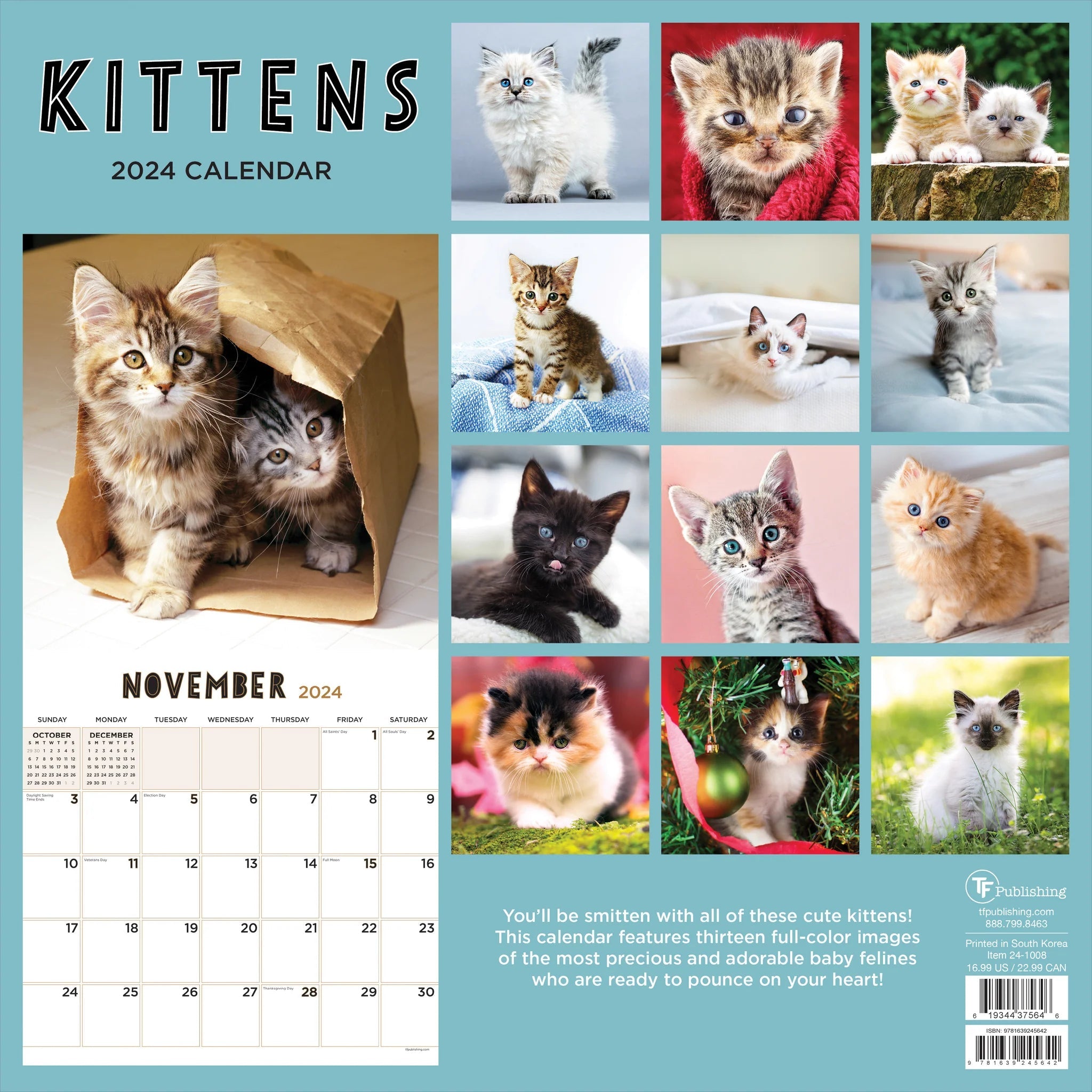 2024 Kittens (by TF Publishing) - Square Wall Calendar US