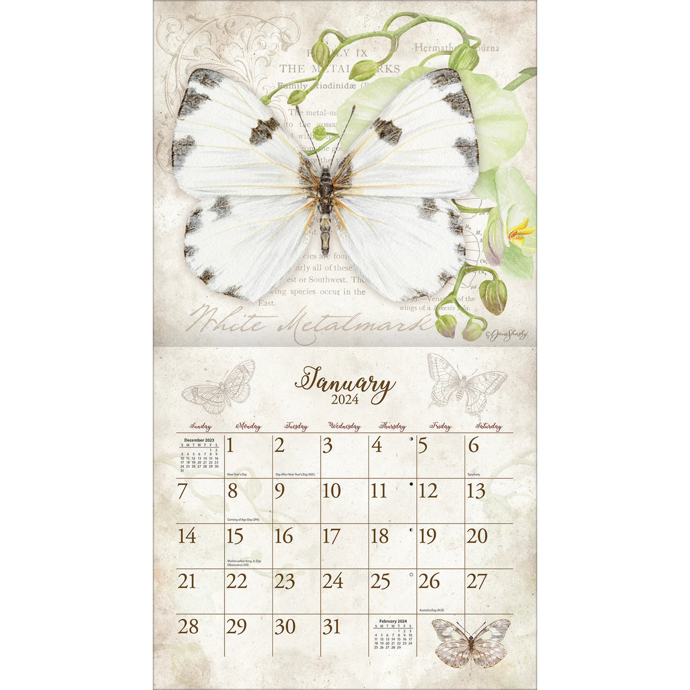 2024 LANG Butterflies By Jane Shasky Deluxe Wall Calendar Art