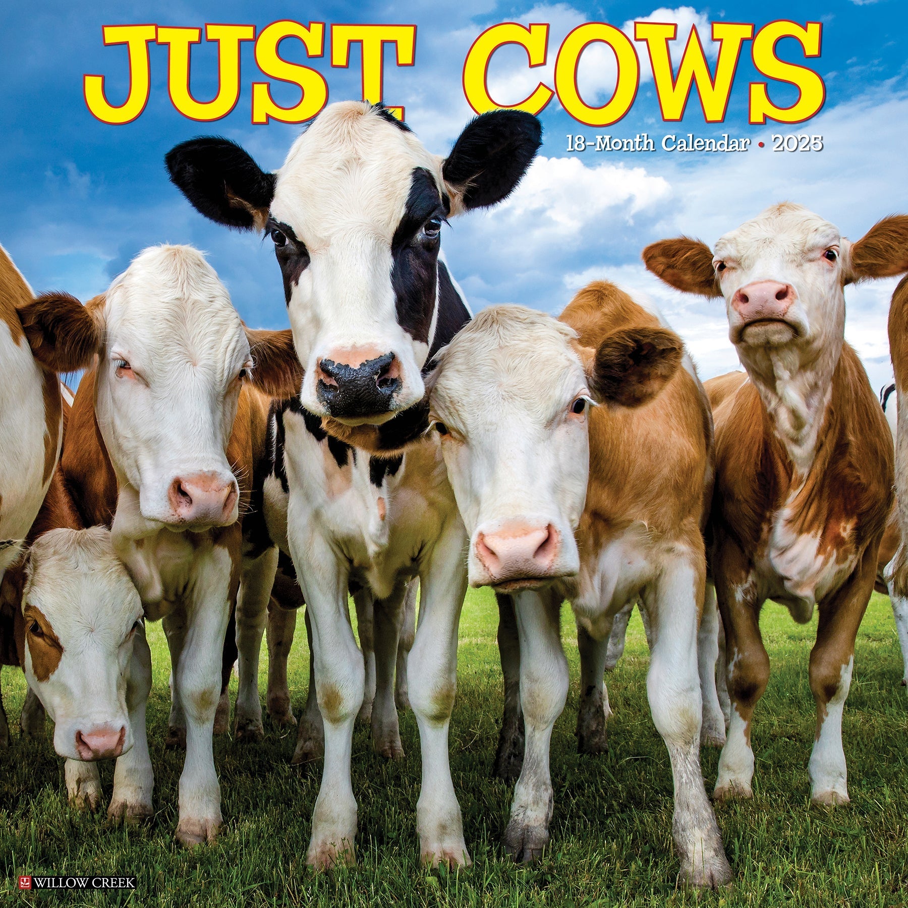 2025 Cows - Square Wall Calendar (US Only)