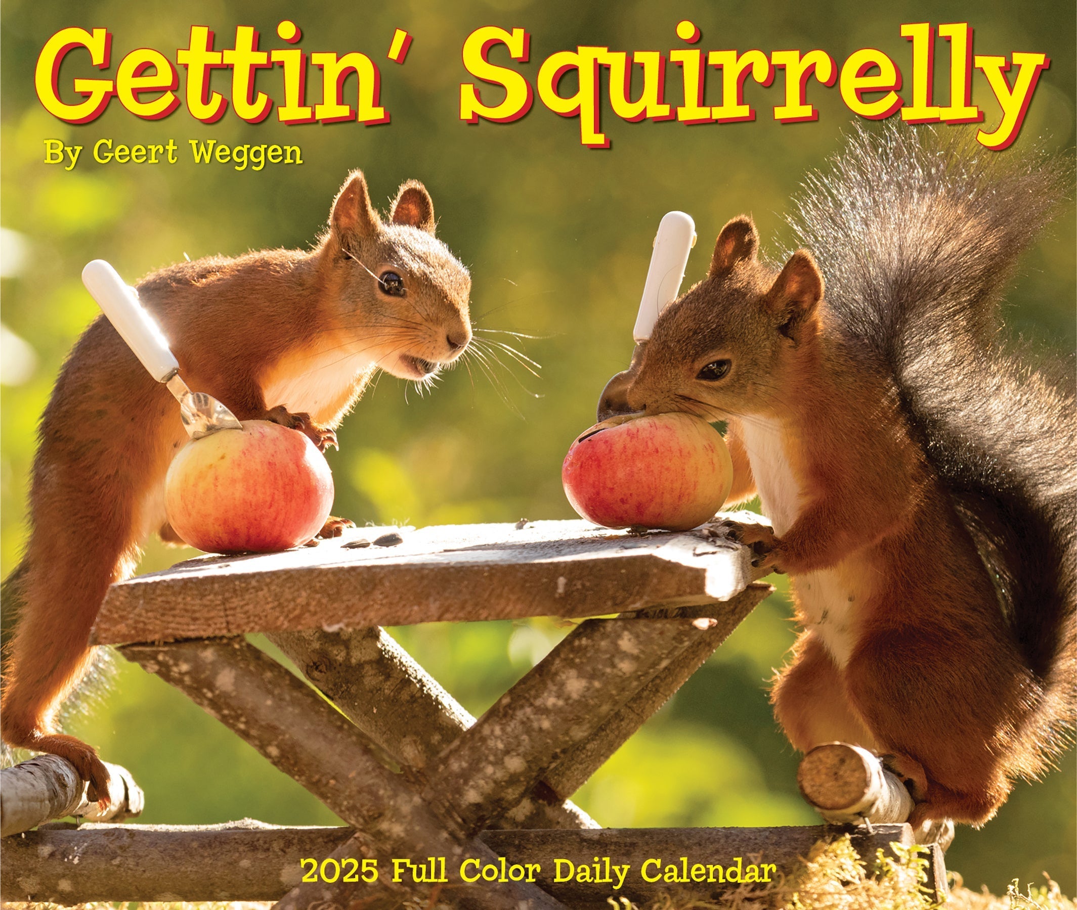 2025 Gettin' Squirrelly - Daily Boxed Page-A-Day Calendar (US Only)