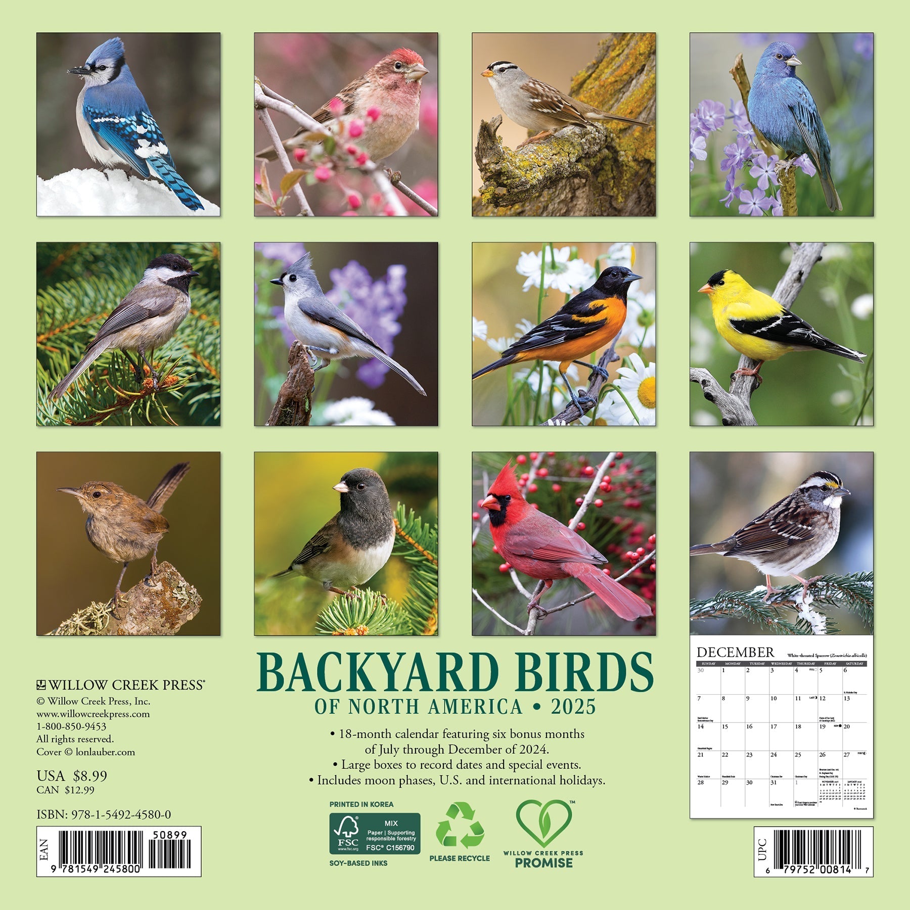 2025 Backyard Birds - Mini Wall Calendar (US Only)