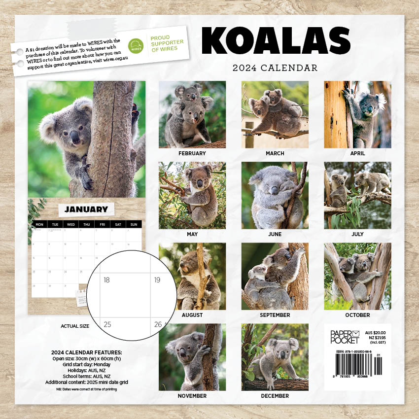 2024 Koalas Square Wall Calendar